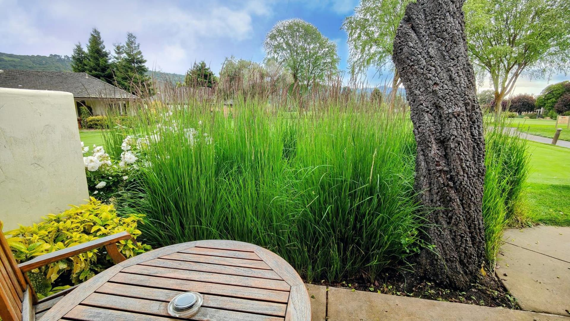 The Quail Lodge gallery photo in Carmel, CA — image 41