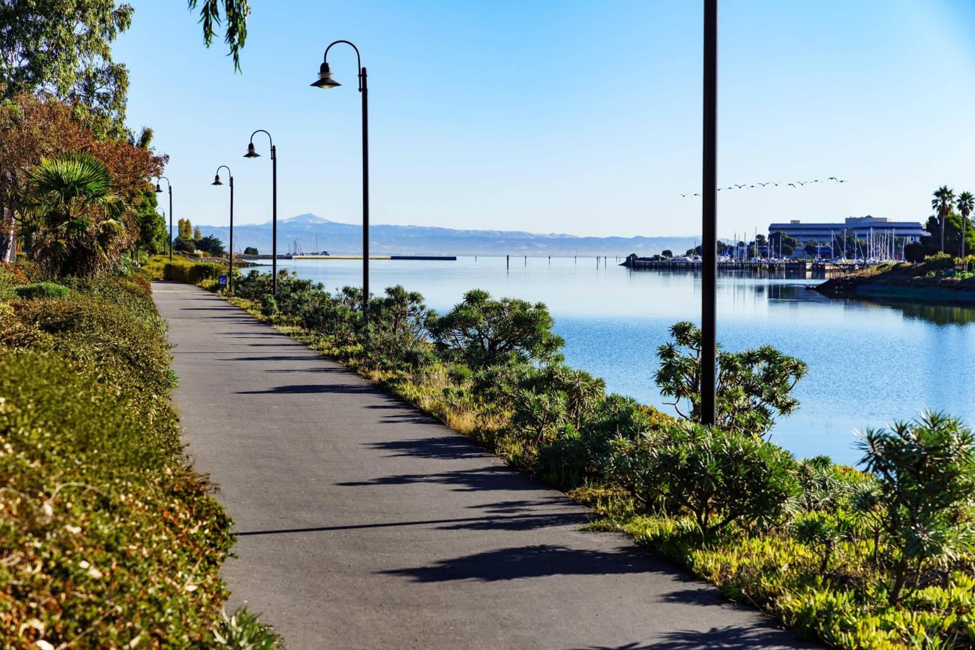 AC Hotel by Marriott San Francisco Airport/Oyster Point Waterfront gallery photo in South San Francisco, CA — image 43