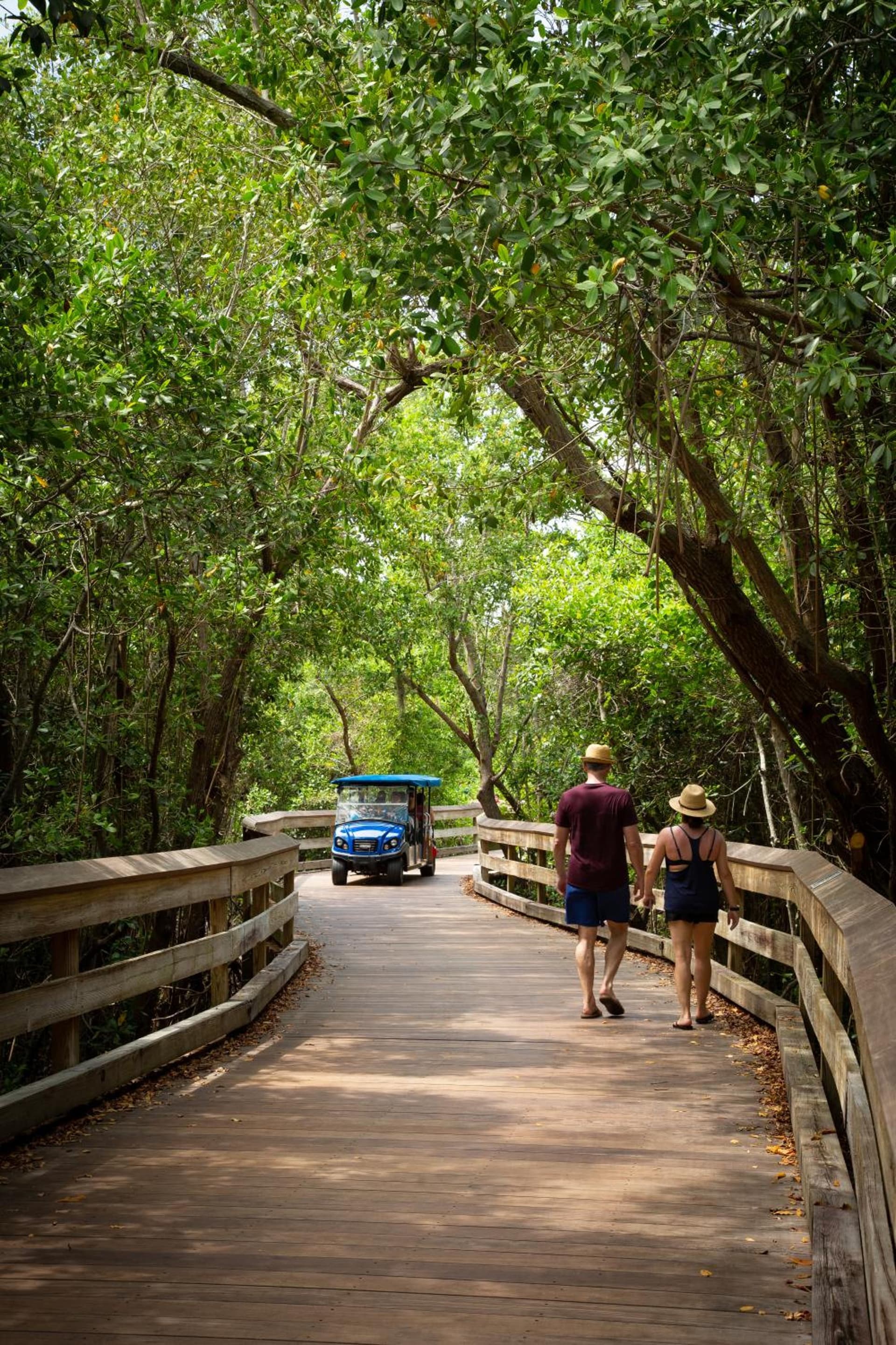 Naples Grande Beach Resort gallery photo in Naples, FL — image 5