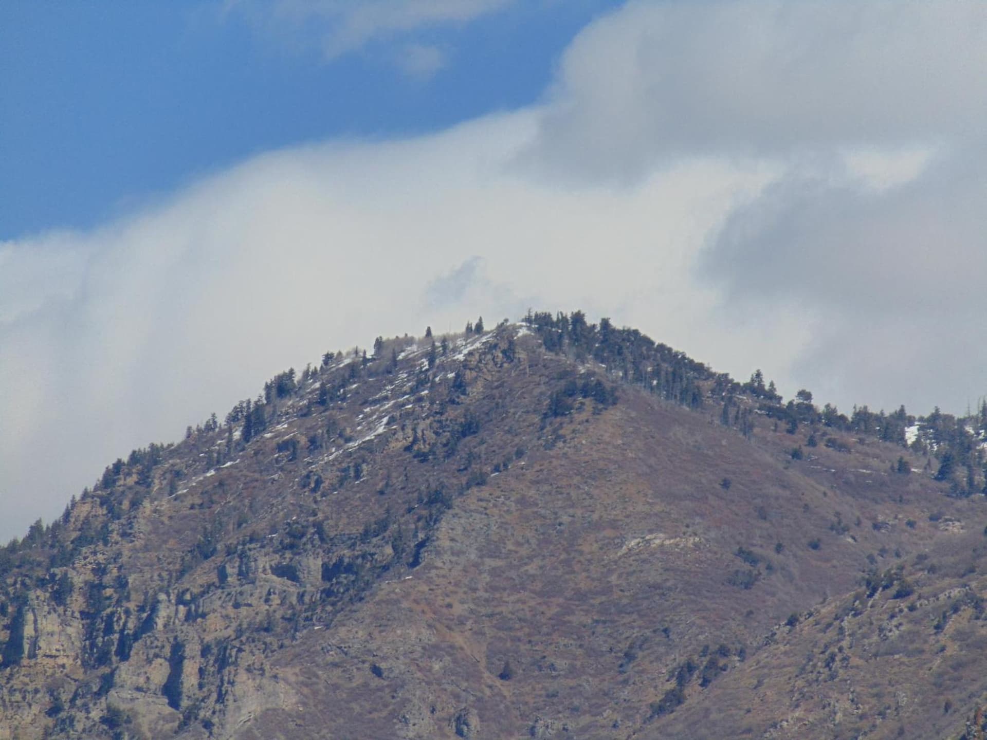 Holiday Inn Express & Suites Springville-South Provo Area by IHG gallery photo in Springville, UT — image 5