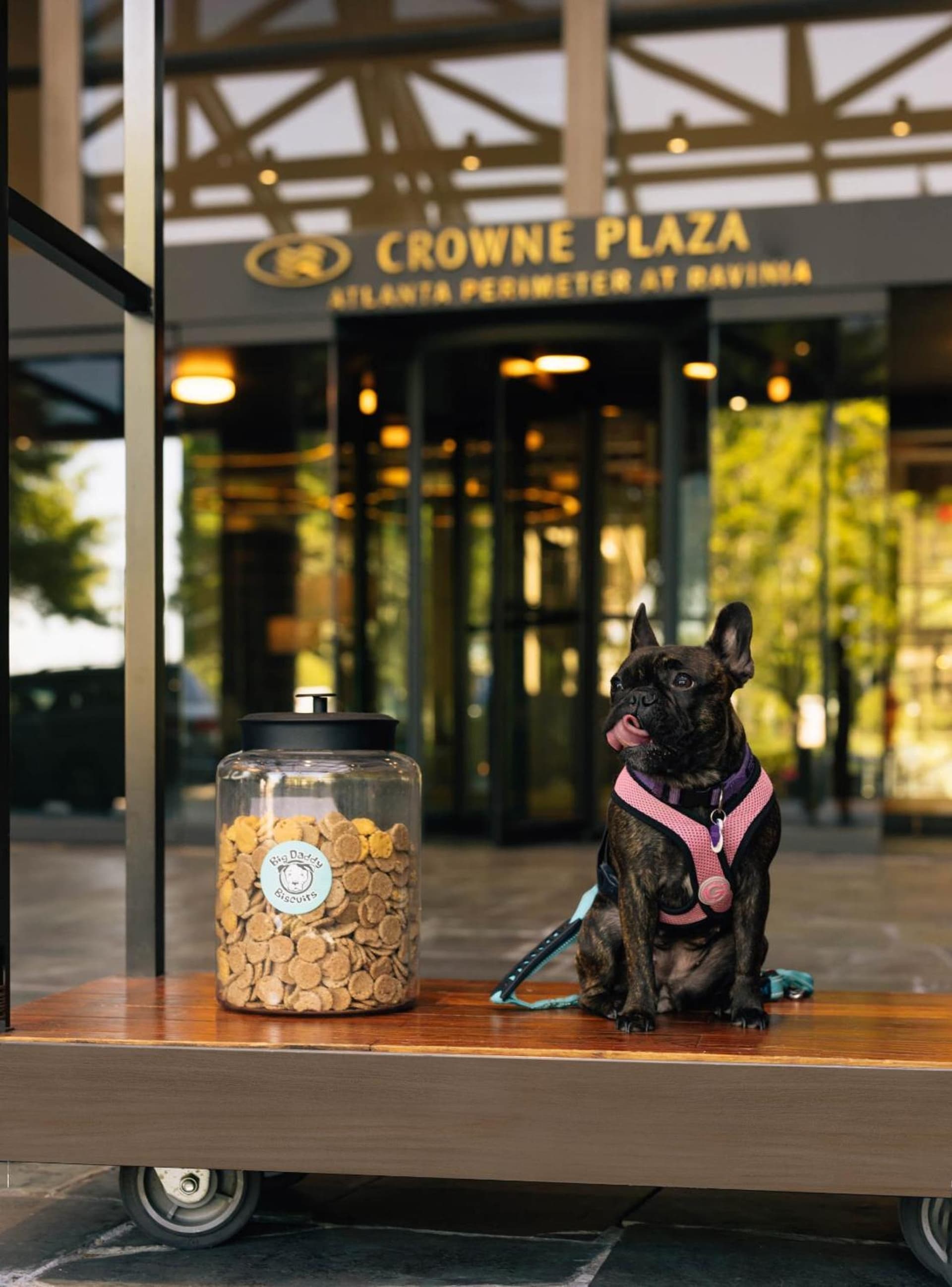 Crowne Plaza Atlanta Perimeter at Ravinia by IHG gallery photo in Atlanta, GA — image 96