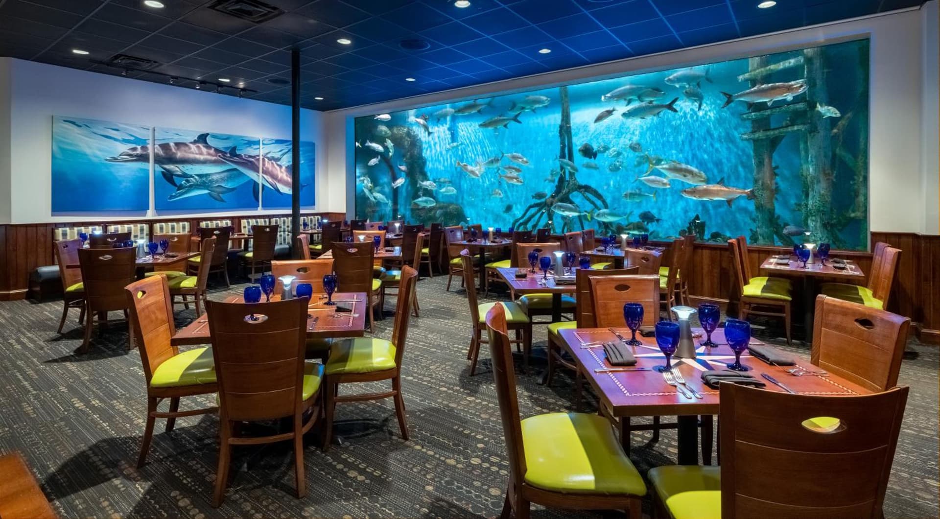 RumFish Beach at TradeWinds gallery photo in St Pete Beach, FL — image 13