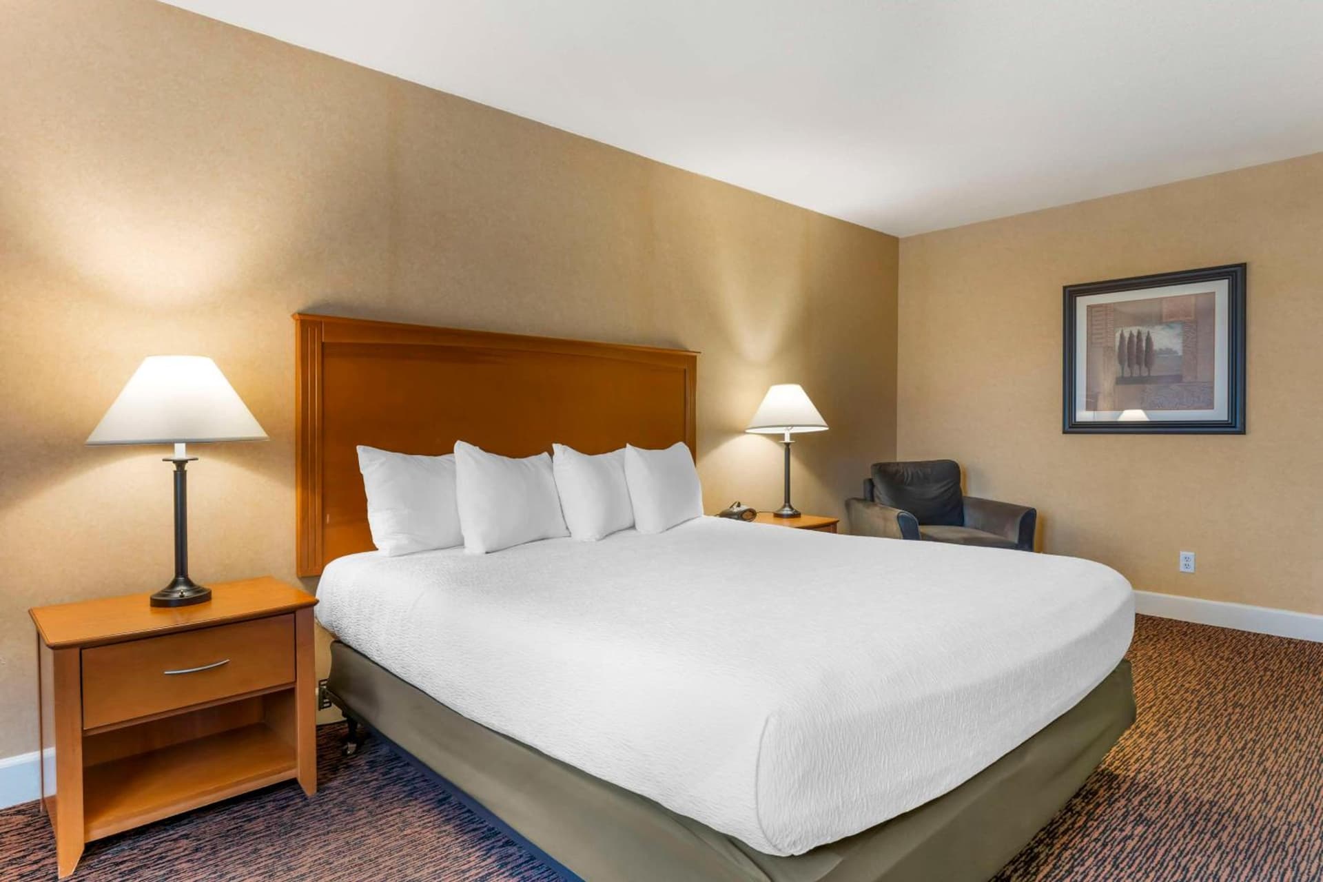Best Western Plus Placerville Inn gallery photo in Placerville, CA — image 19