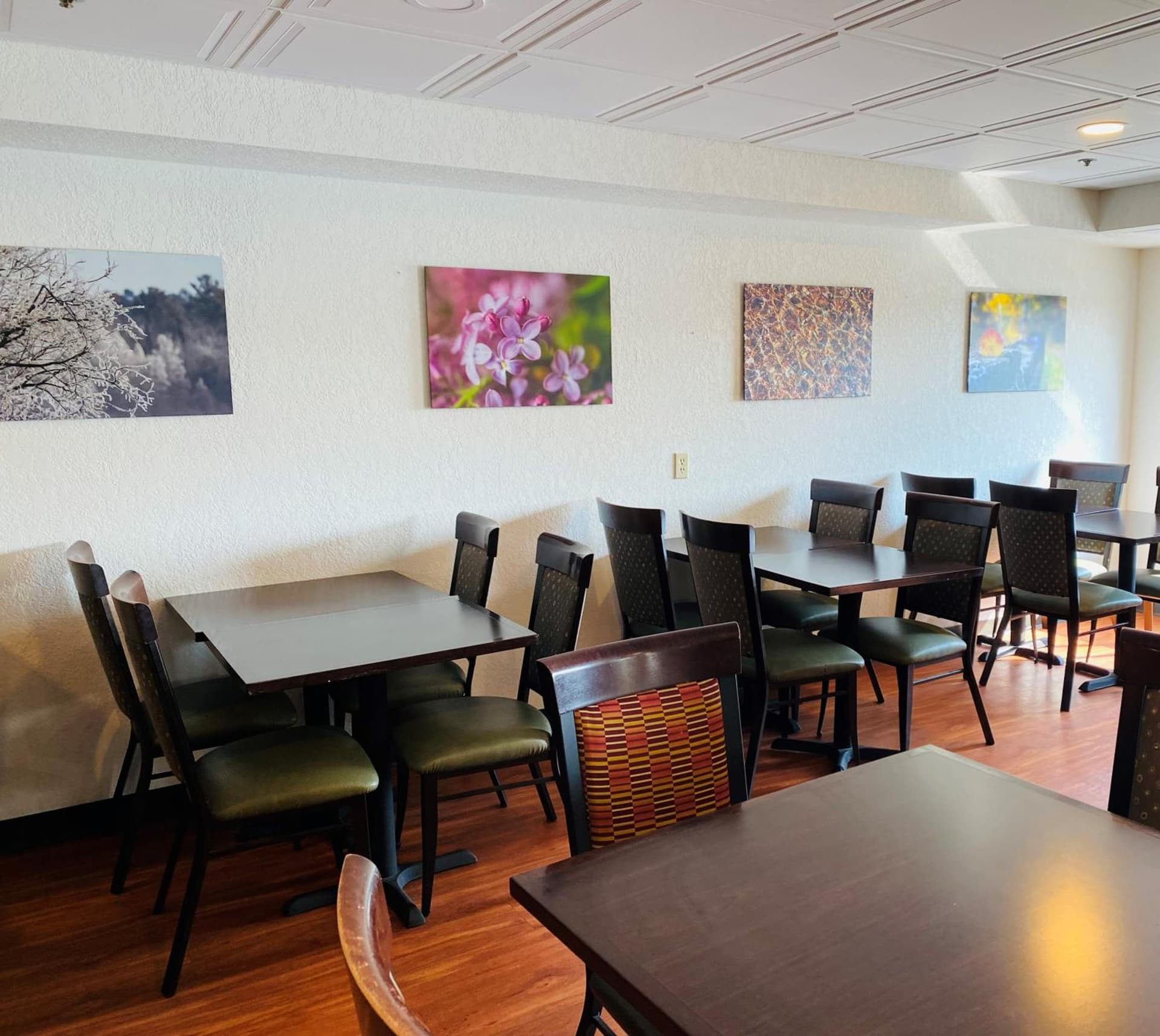 The Suites Hotel at Waterfront Plaza gallery photo in Duluth, MN — image 17