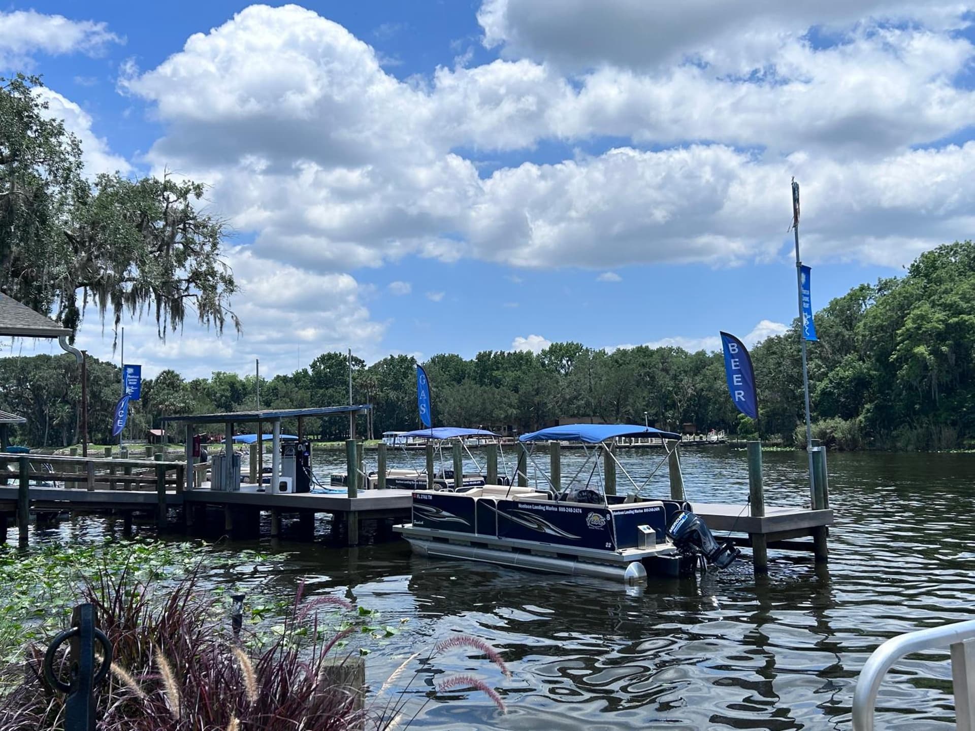 Hontoon Landing Resort & Marina gallery photo in DeLand, FL — image 31
