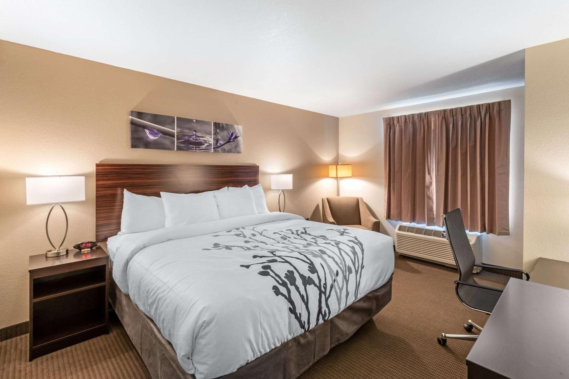 Sleep Inn & Suites Denver International Airport property views in Denver, CO — gallery photo 3