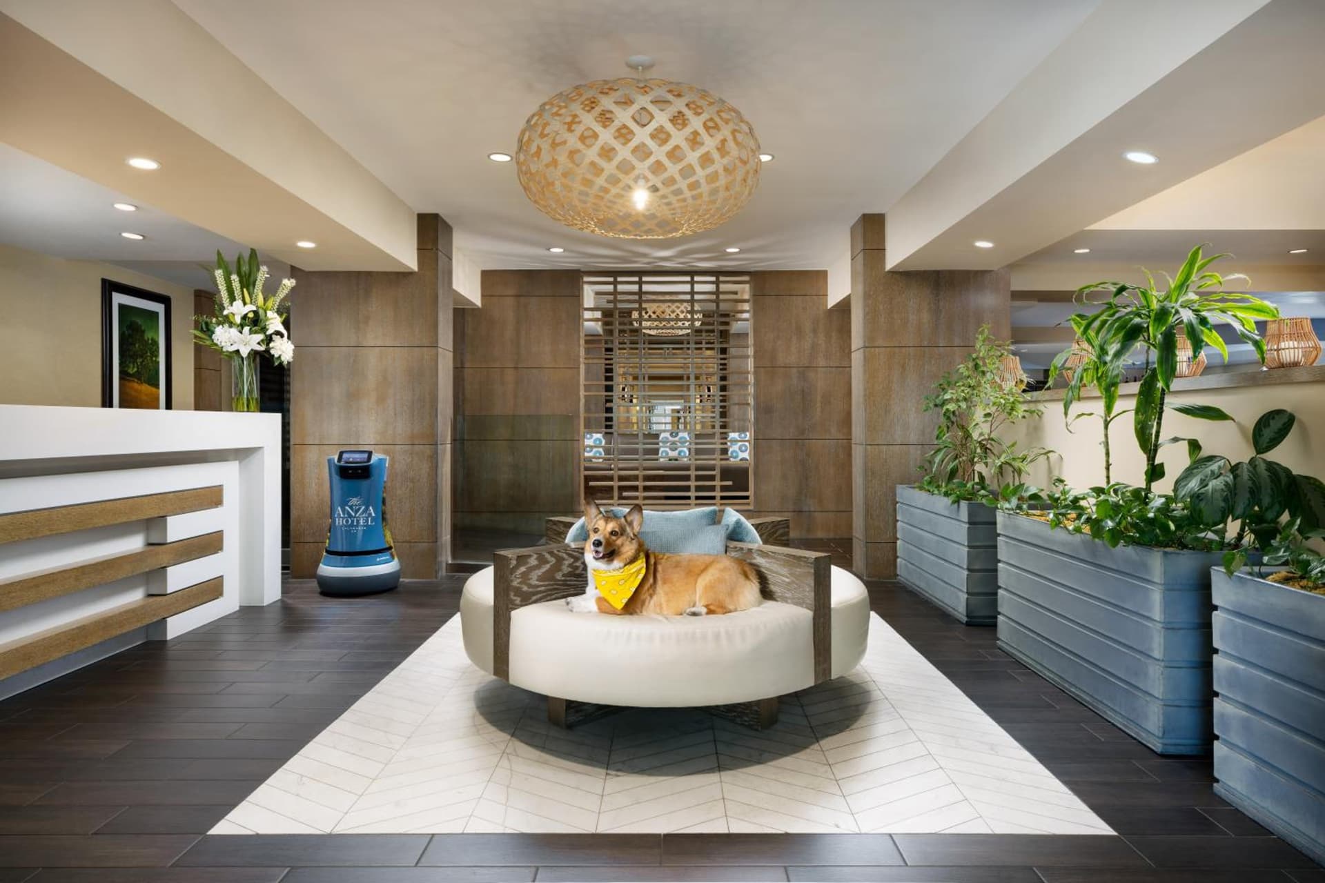 The Anza-a Calabasas Hotel gallery photo in Calabasas, CA — image 41