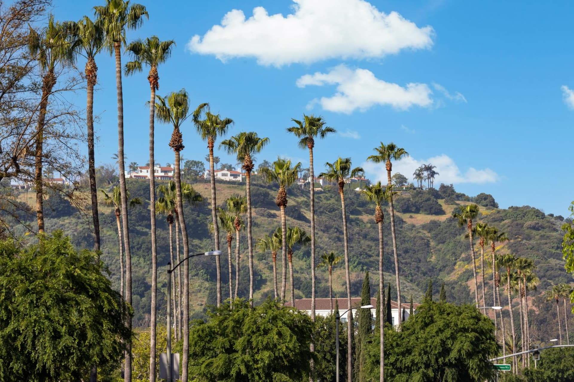 The Anza-a Calabasas Hotel gallery photo in Calabasas, CA — image 104