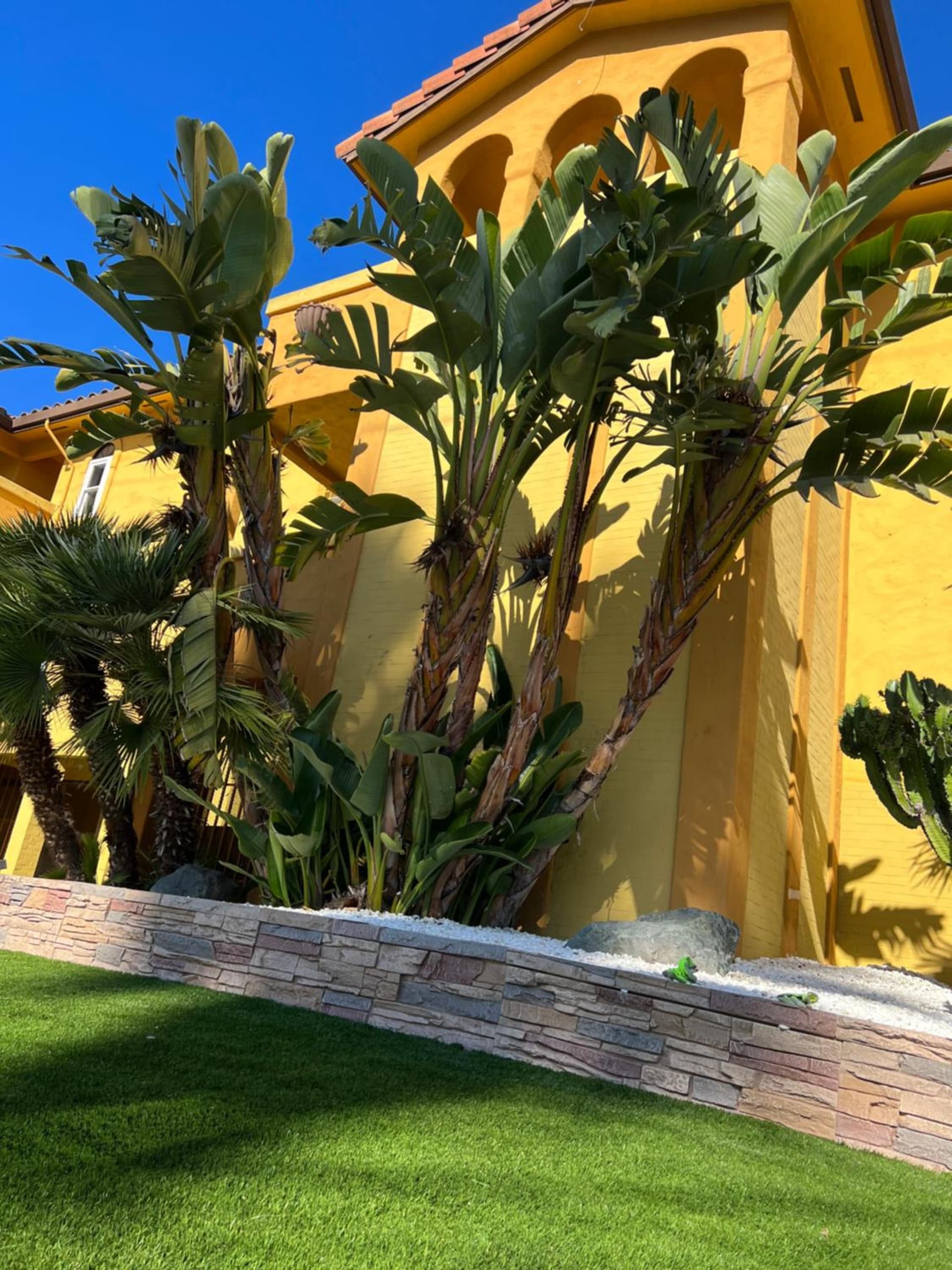 The Aqua Pacific Hotel interior in Santa Cruz, CA — gallery photo 2