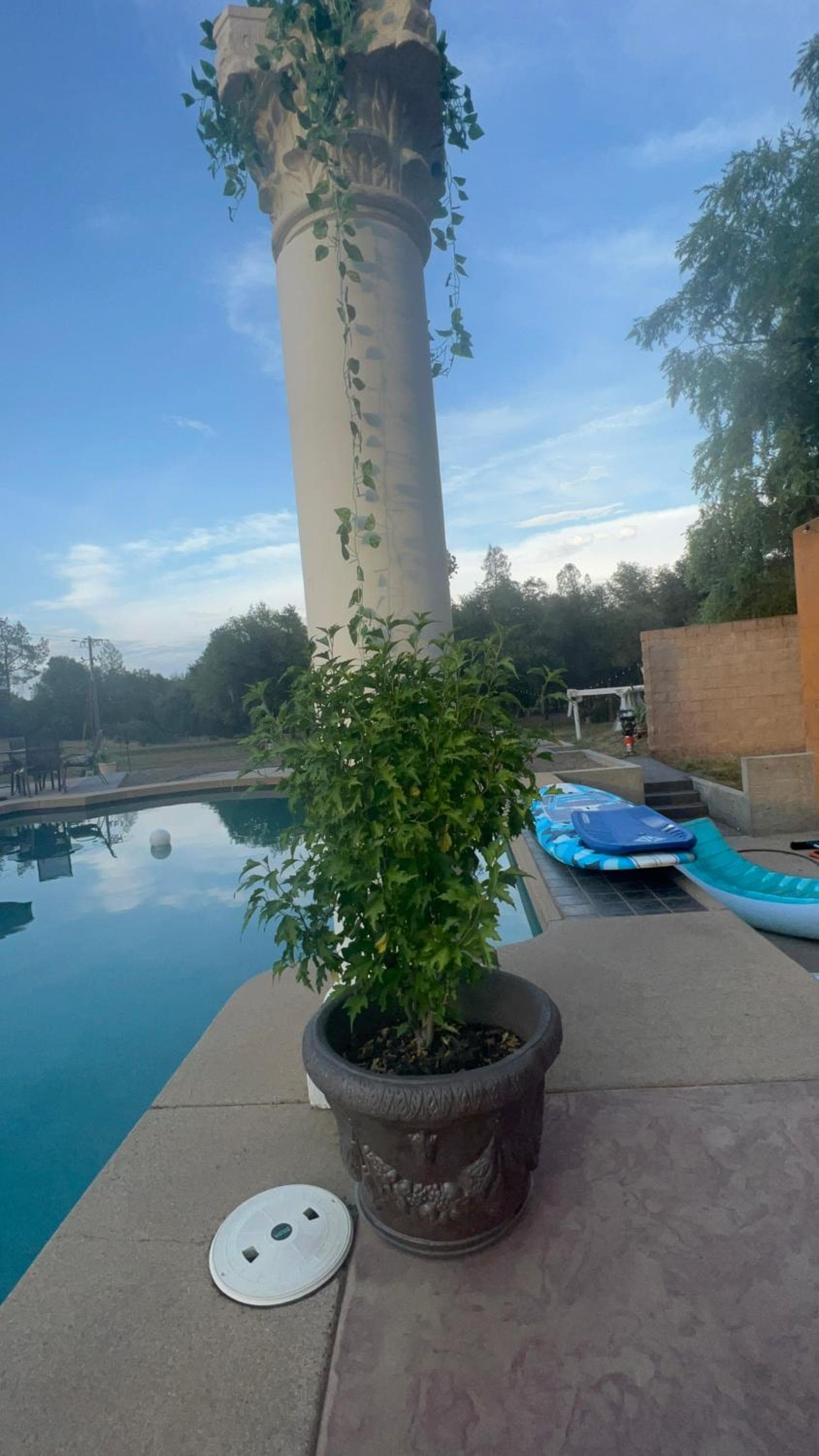 The Oasis interior in Redding, CA — gallery photo 2