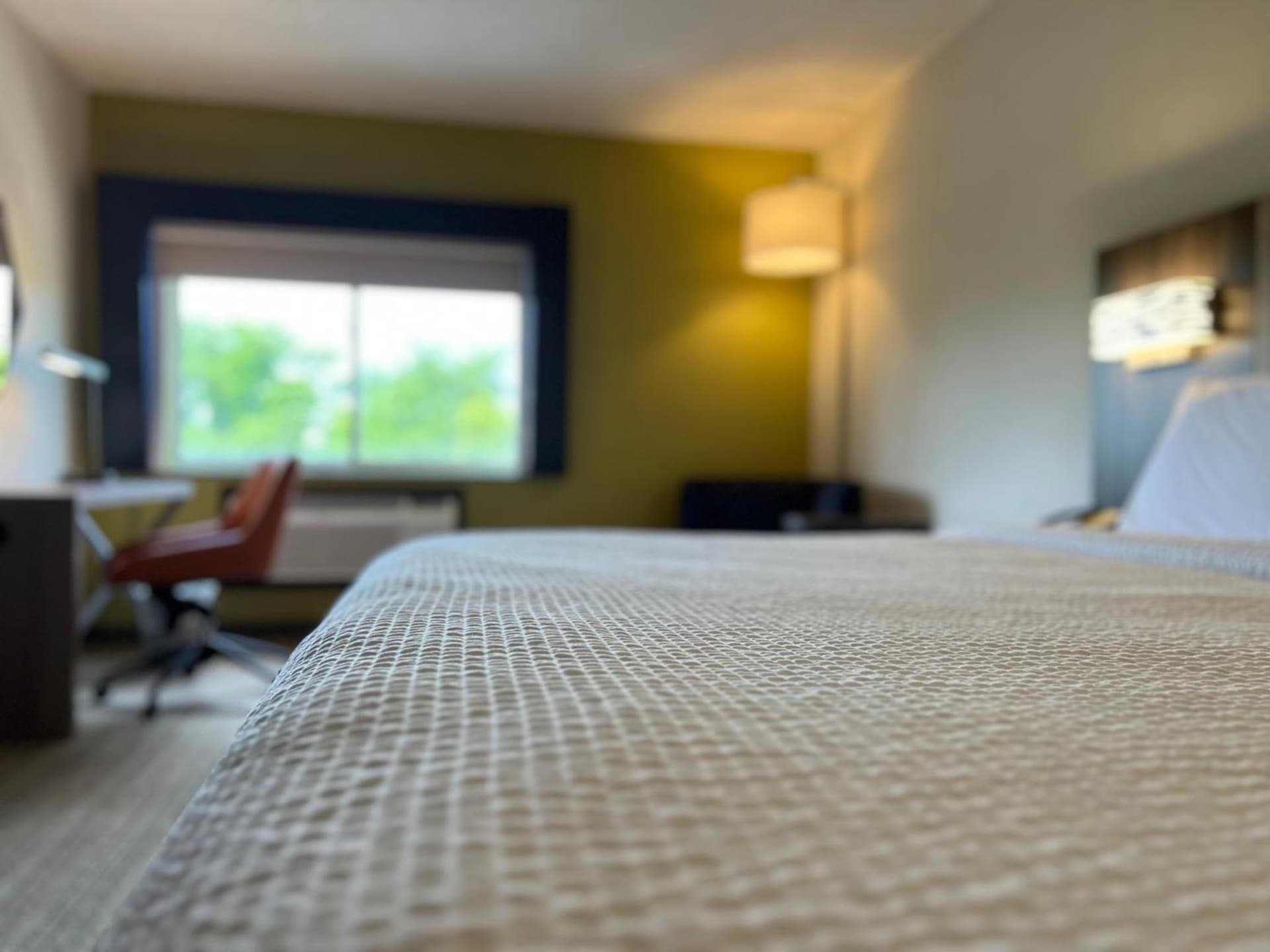 Holiday Inn Express Stony Brook-Long Island by IHG gallery photo in Centereach, NY — image 39