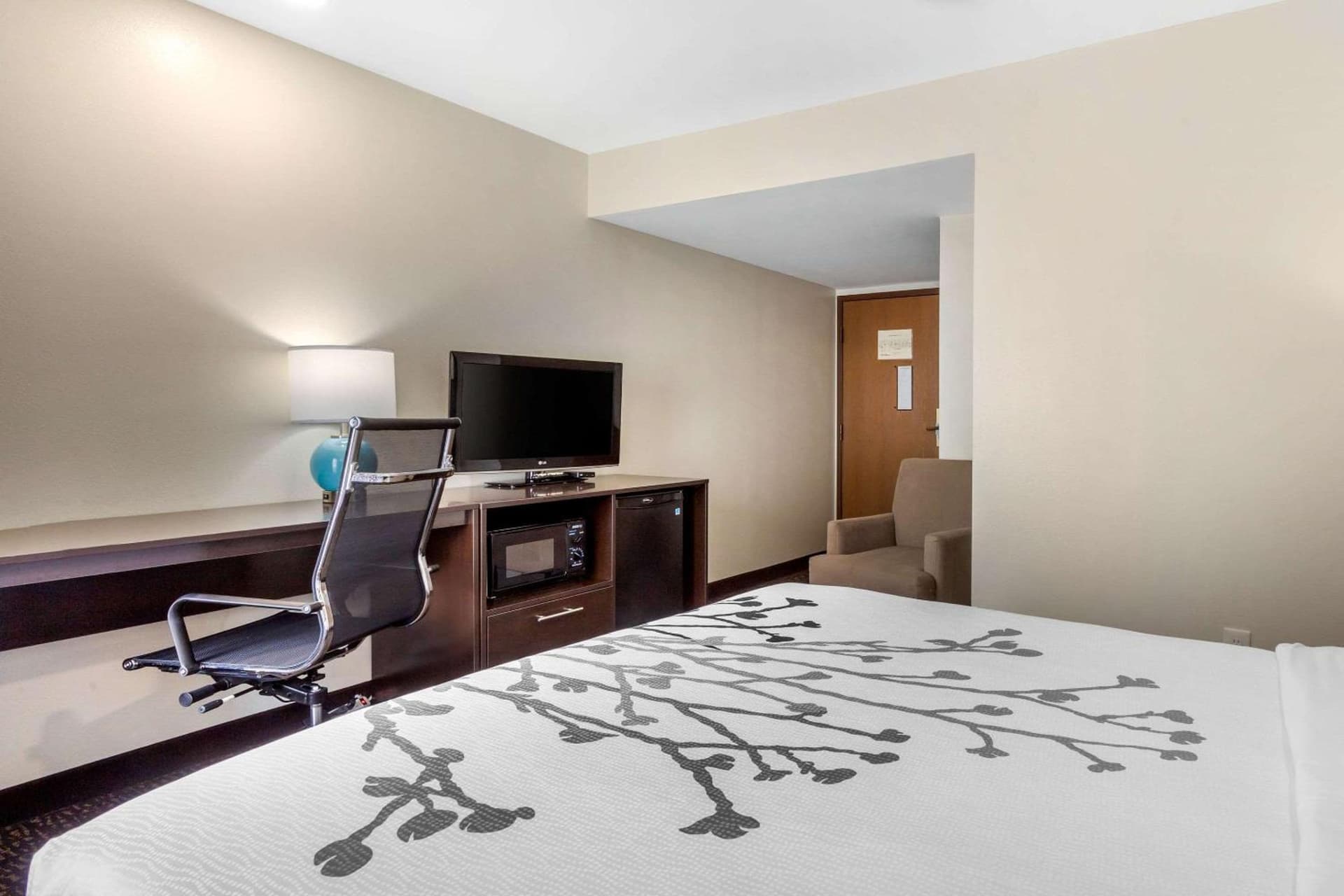 Sleep Inn & Suites Johnson City gallery photo in Johnson City, TN — image 48