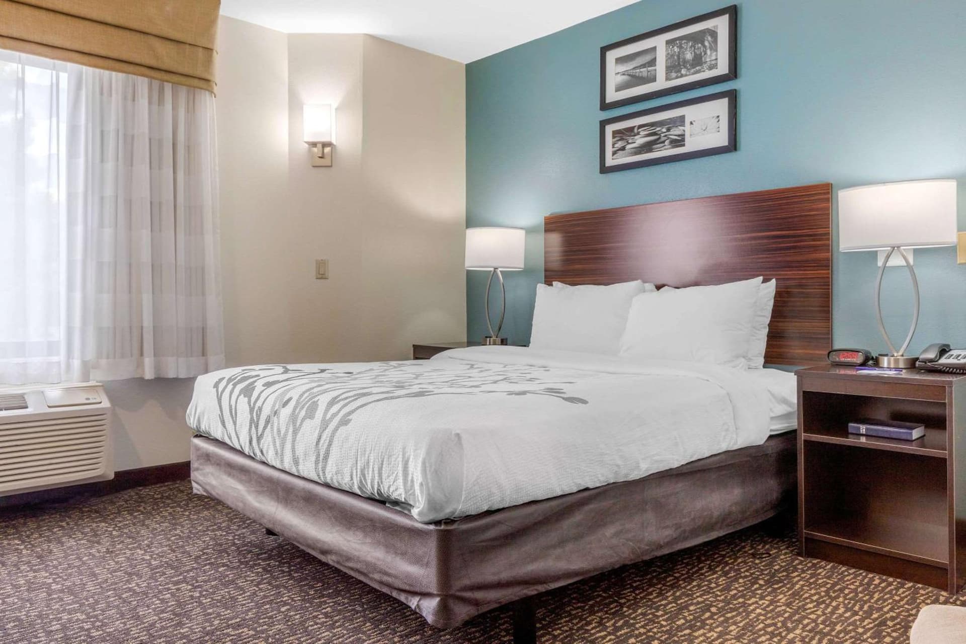 Sleep Inn & Suites Johnson City gallery photo in Johnson City, TN — image 25