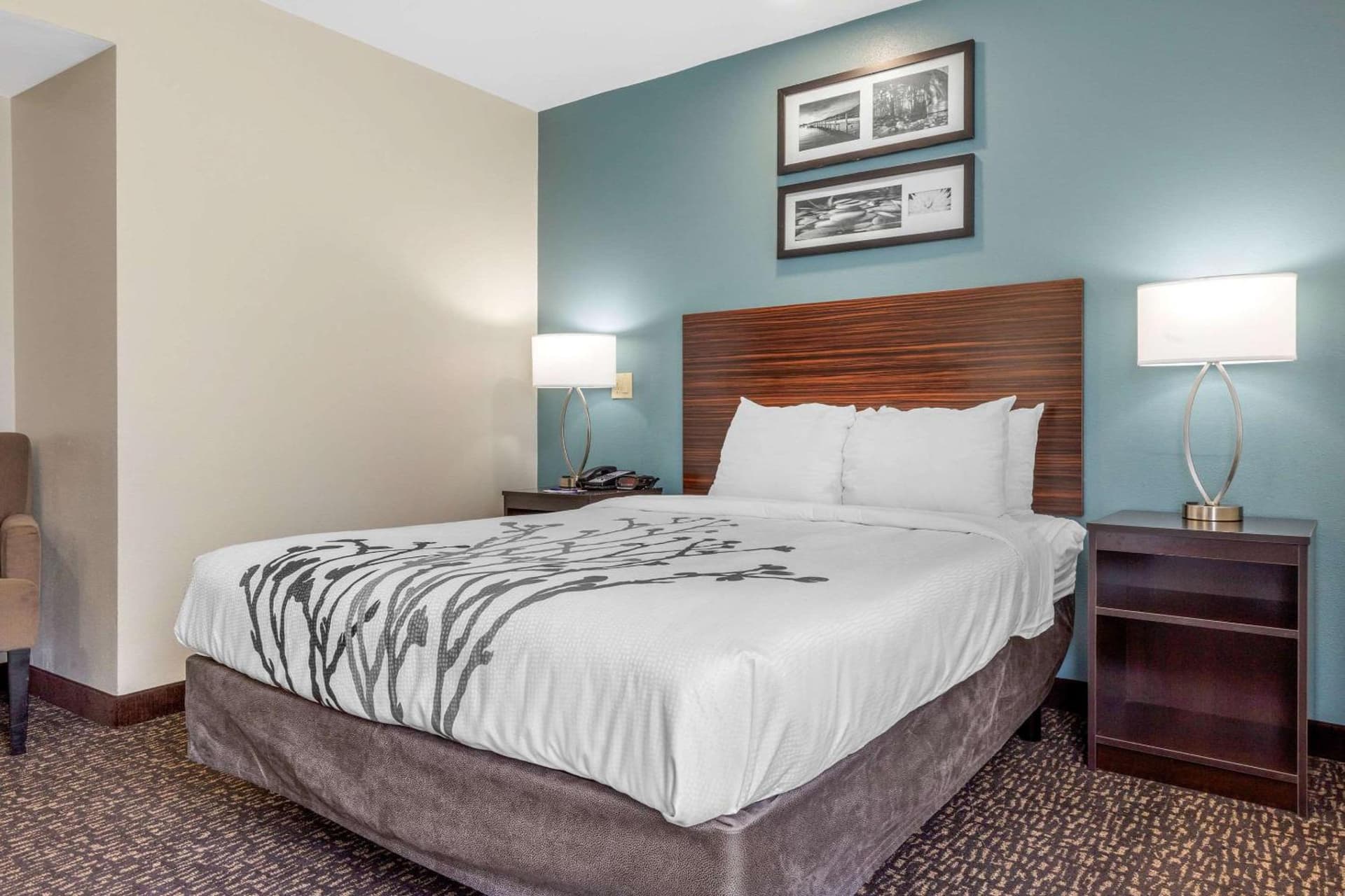 Sleep Inn & Suites Johnson City gallery photo in Johnson City, TN — image 10