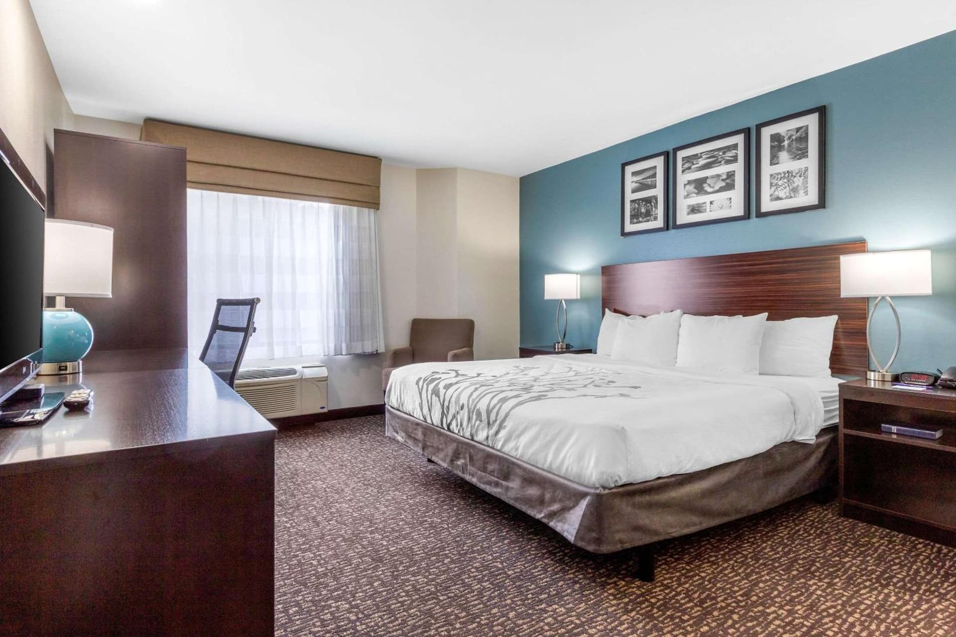 Sleep Inn & Suites Johnson City gallery photo in Johnson City, TN — image 21