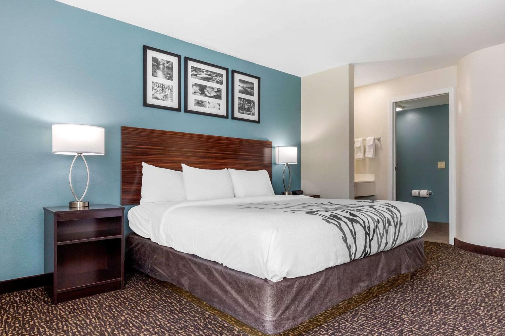 Sleep Inn & Suites Johnson City gallery photo in Johnson City, TN — image 54