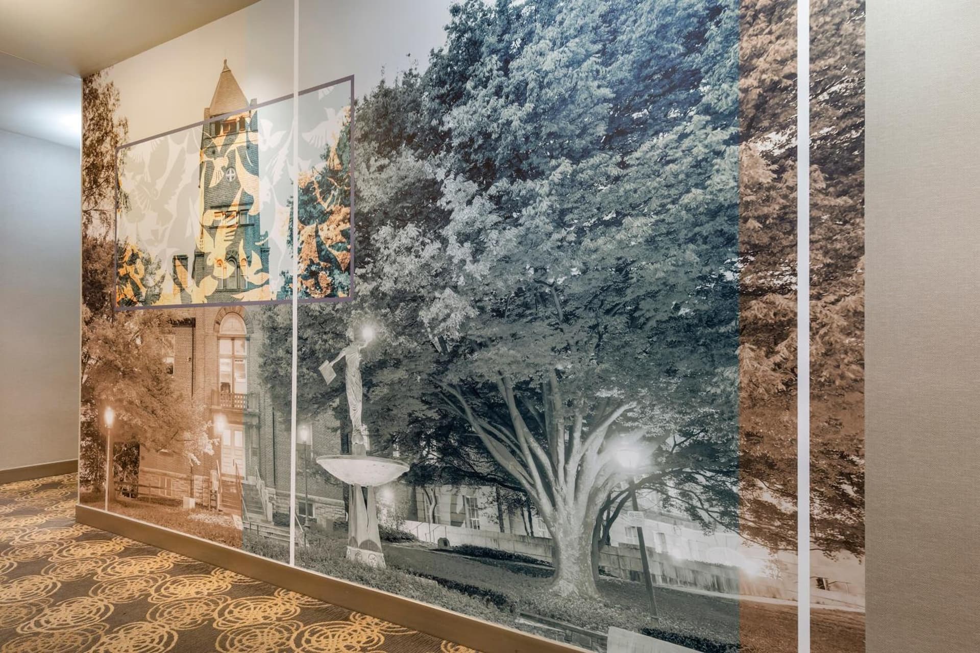 Cambria Hotel Rockville gallery photo in Rockville, MD — image 87