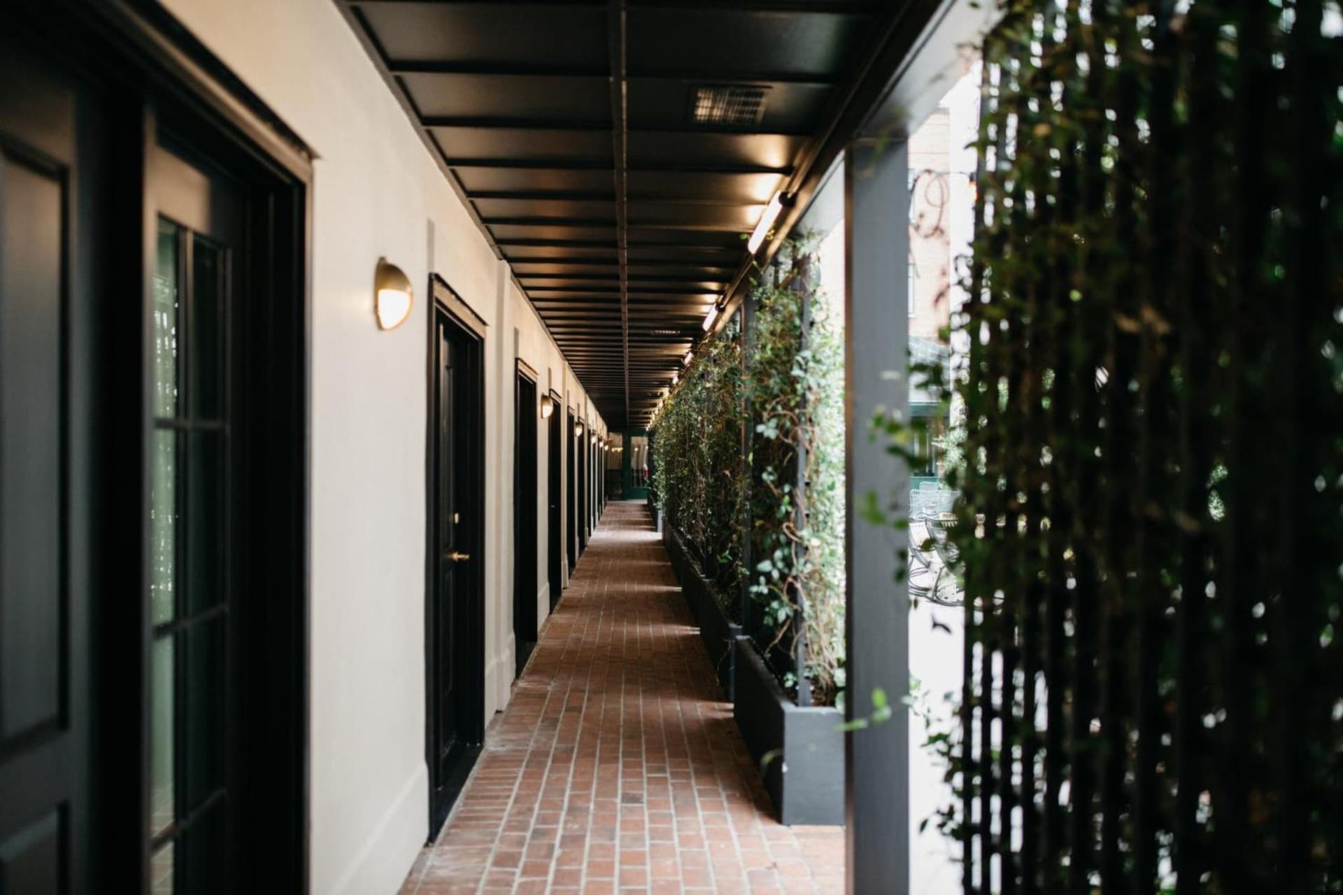 Emeline gallery photo in Charleston, SC — image 8