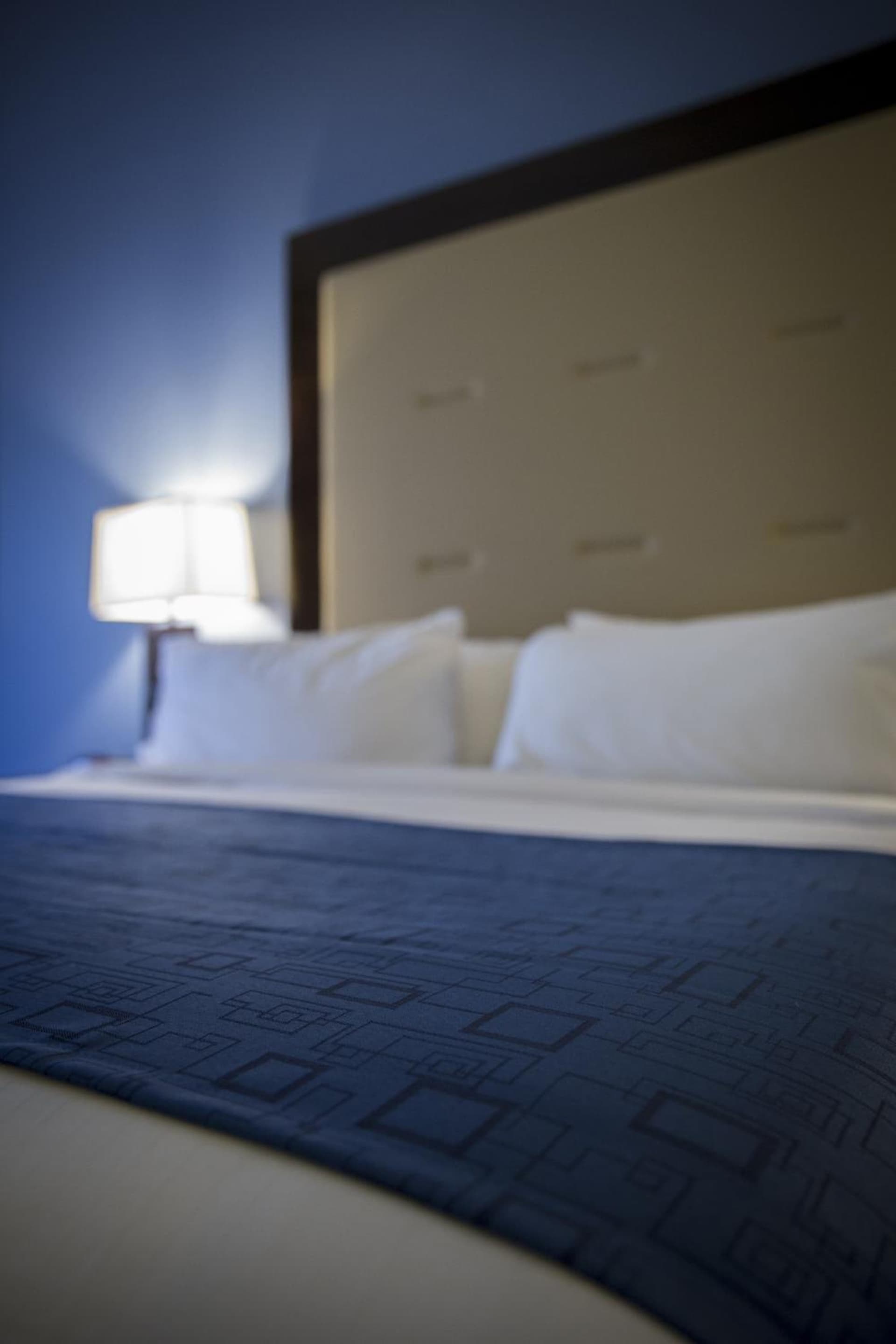 Holiday Inn Express and Suites Edwardsville by IHG gallery photo in Edwardsville, IL — image 23