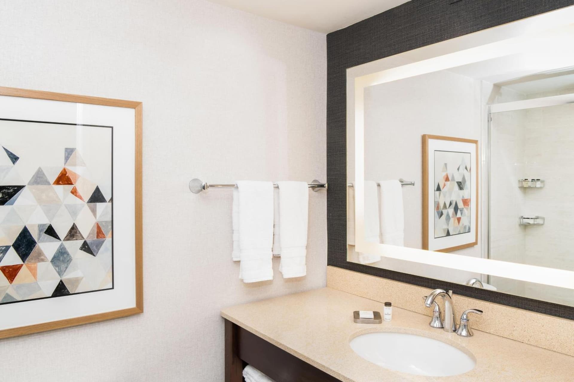 Sheraton Ann Arbor Hotel gallery photo in Ann Arbor, MI — image 49