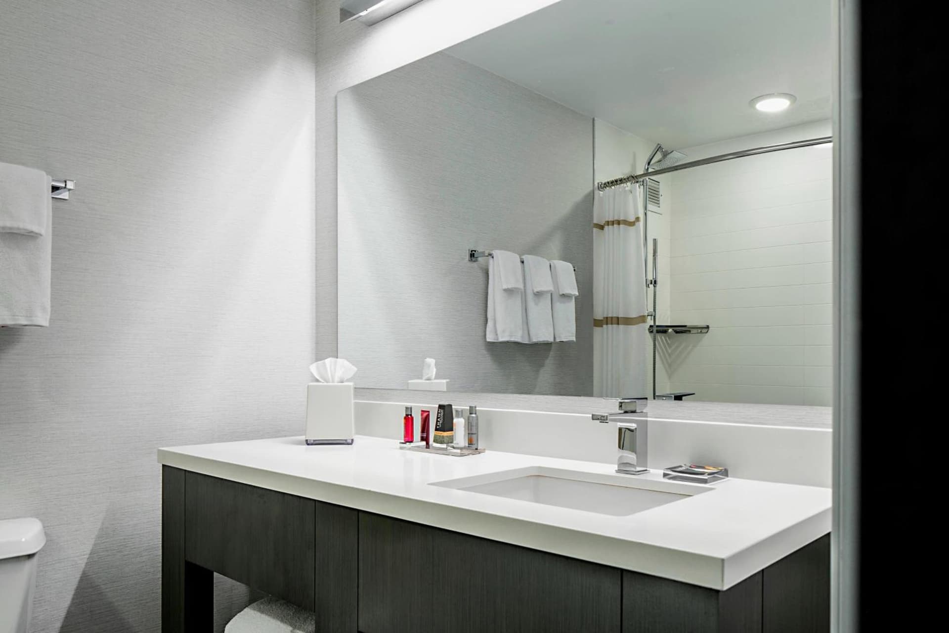 Marriott DFW Airport South gallery photo in Fort Worth, TX — image 30