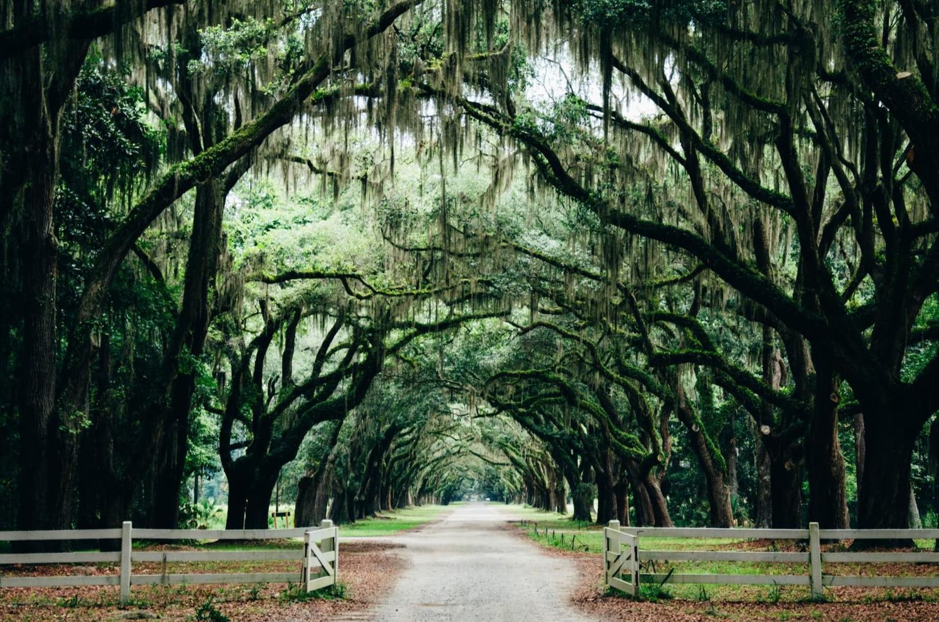 Hotel Indigo Savannah Historic District by IHG gallery photo in Savannah, GA — image 52
