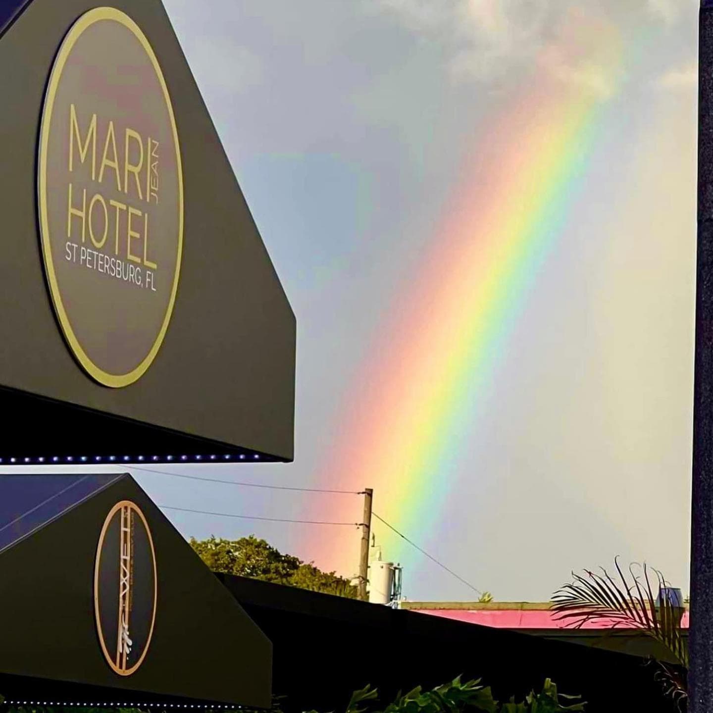 Mari Jean Hotel - All Adults Welcome gallery photo in St. Petersburg, FL — image 29