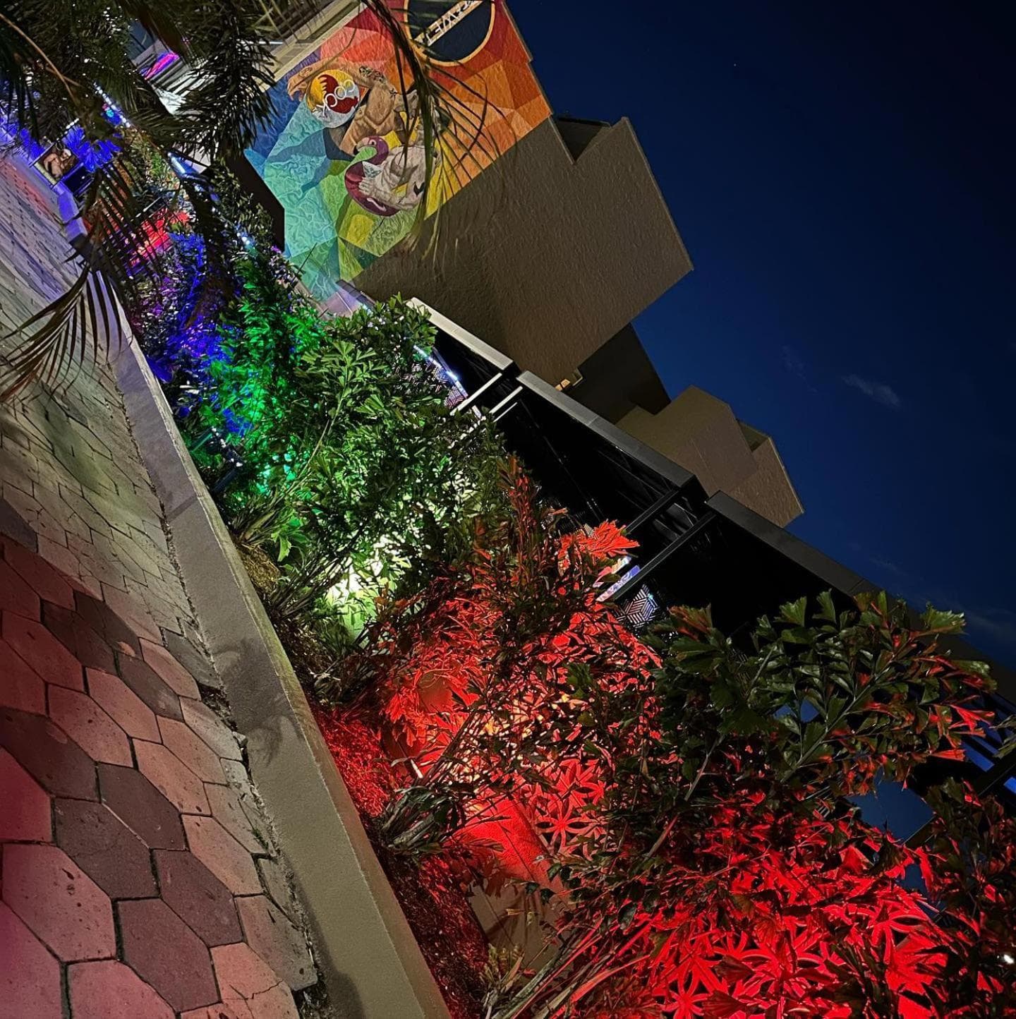 Mari Jean Hotel - All Adults Welcome gallery photo in St. Petersburg, FL — image 33