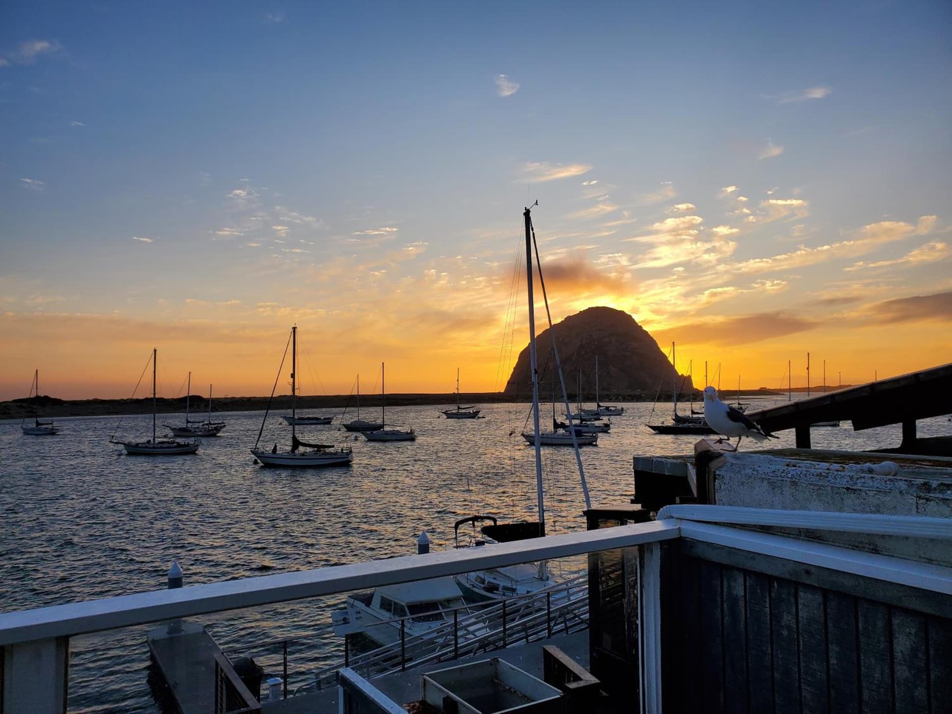 Gray's Inn & Gallery gallery photo in Morro Bay, CA — image 7