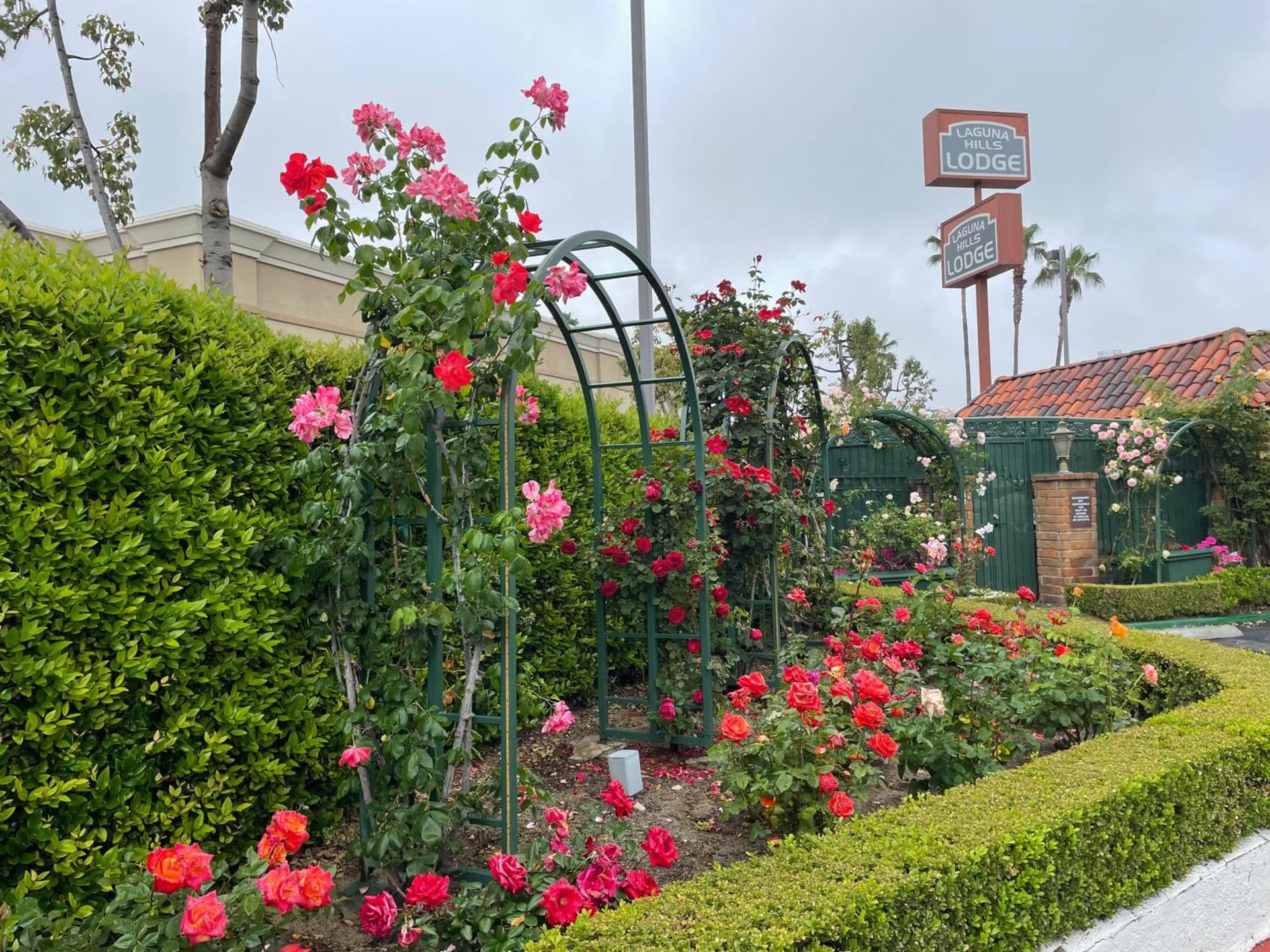 Laguna Hills Lodge-Irvine Spectrum gallery photo in Laguna Hills, CA — image 42