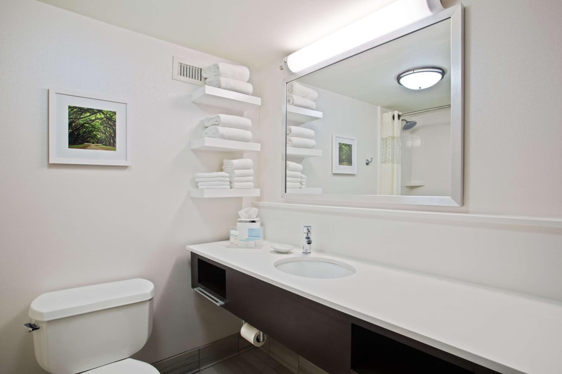 Hampton Inn & Suites Atlanta/Duluth/Gwinnett interior in Duluth, GA — gallery photo 2