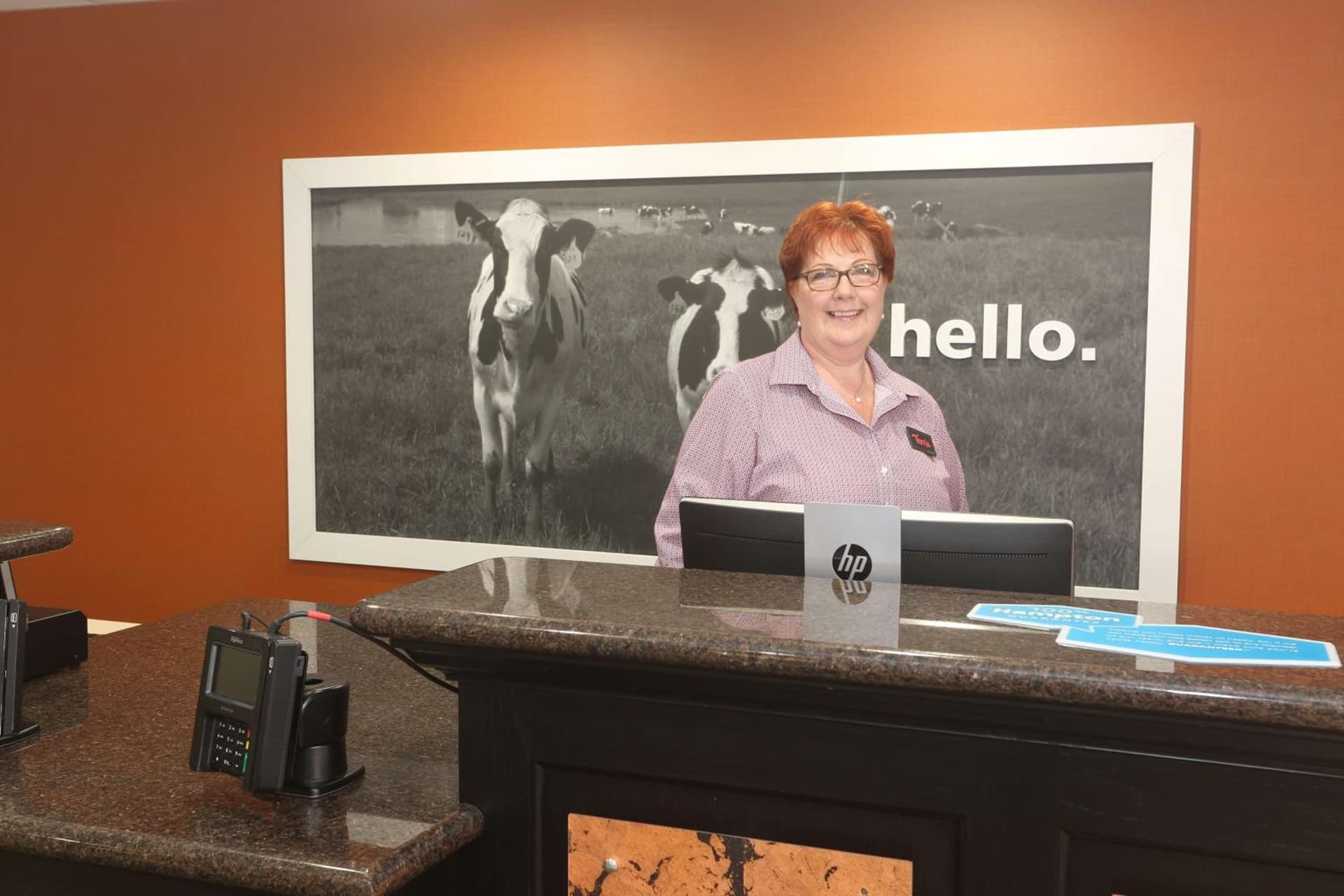 Hampton Inn Owego gallery photo in Owego — image 17
