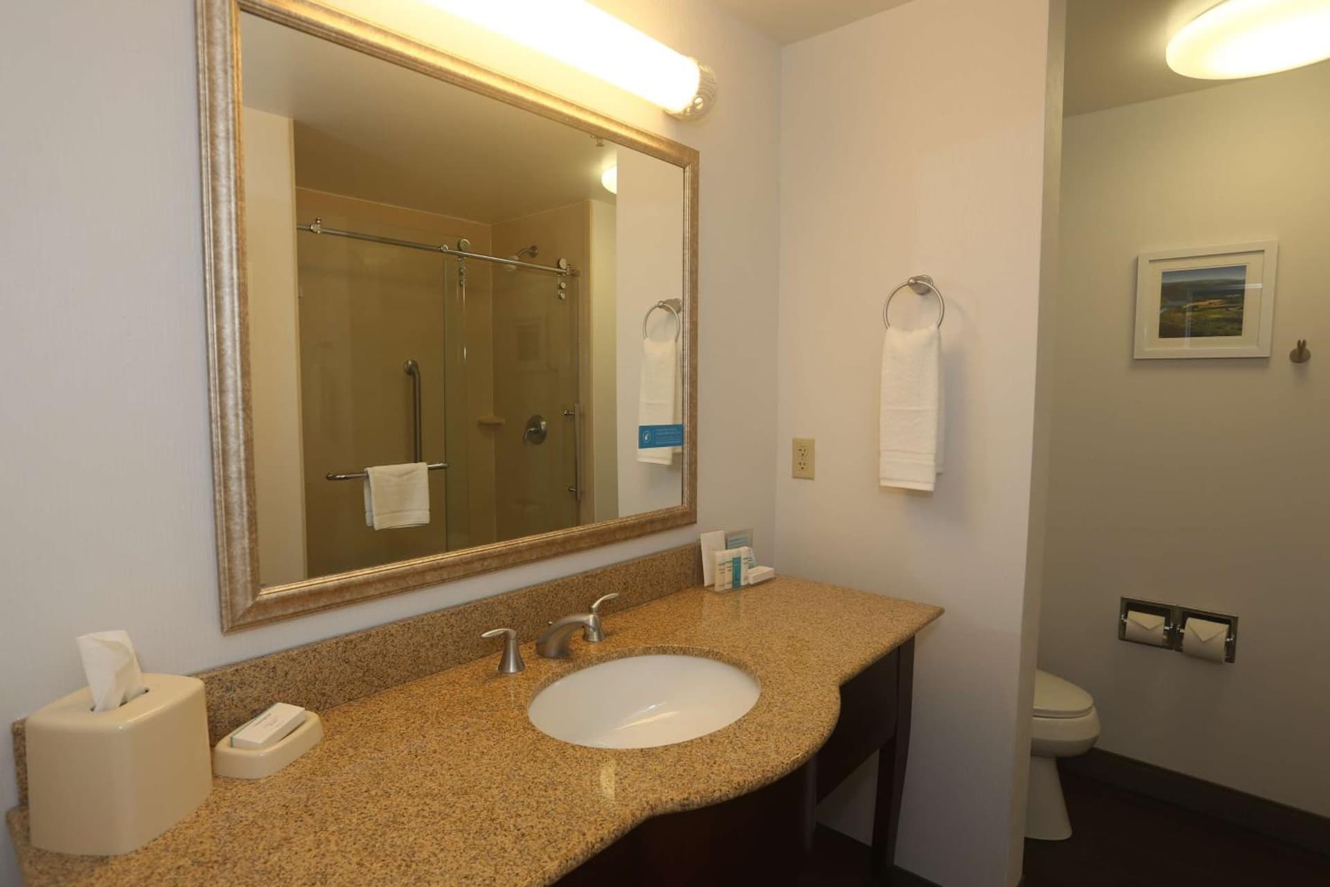 Hampton Inn Owego gallery photo in Owego — image 4