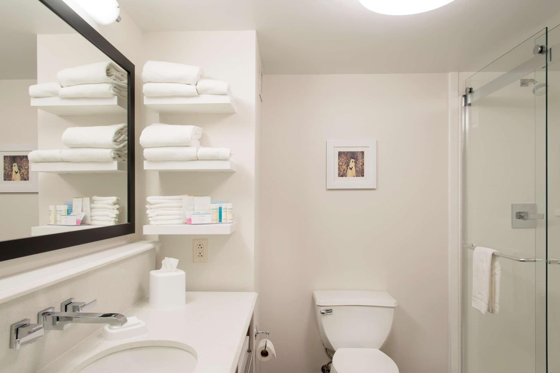 Hampton Inn Columbus/Taylorsville gallery photo in Edinburgh, IN — image 8