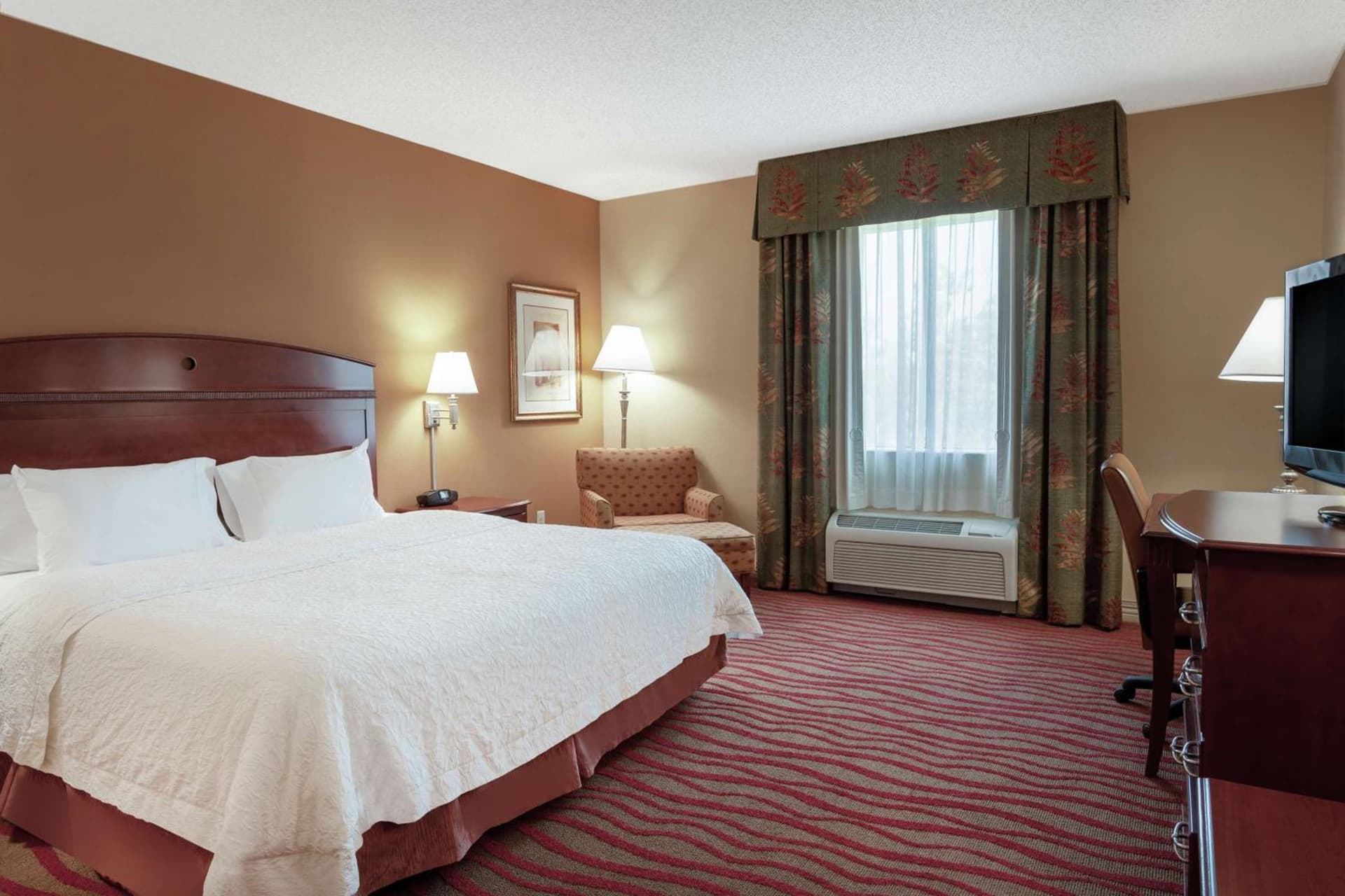 Hampton Inn & Suites Port Richey gallery photo in Port Richey, FL — image 6