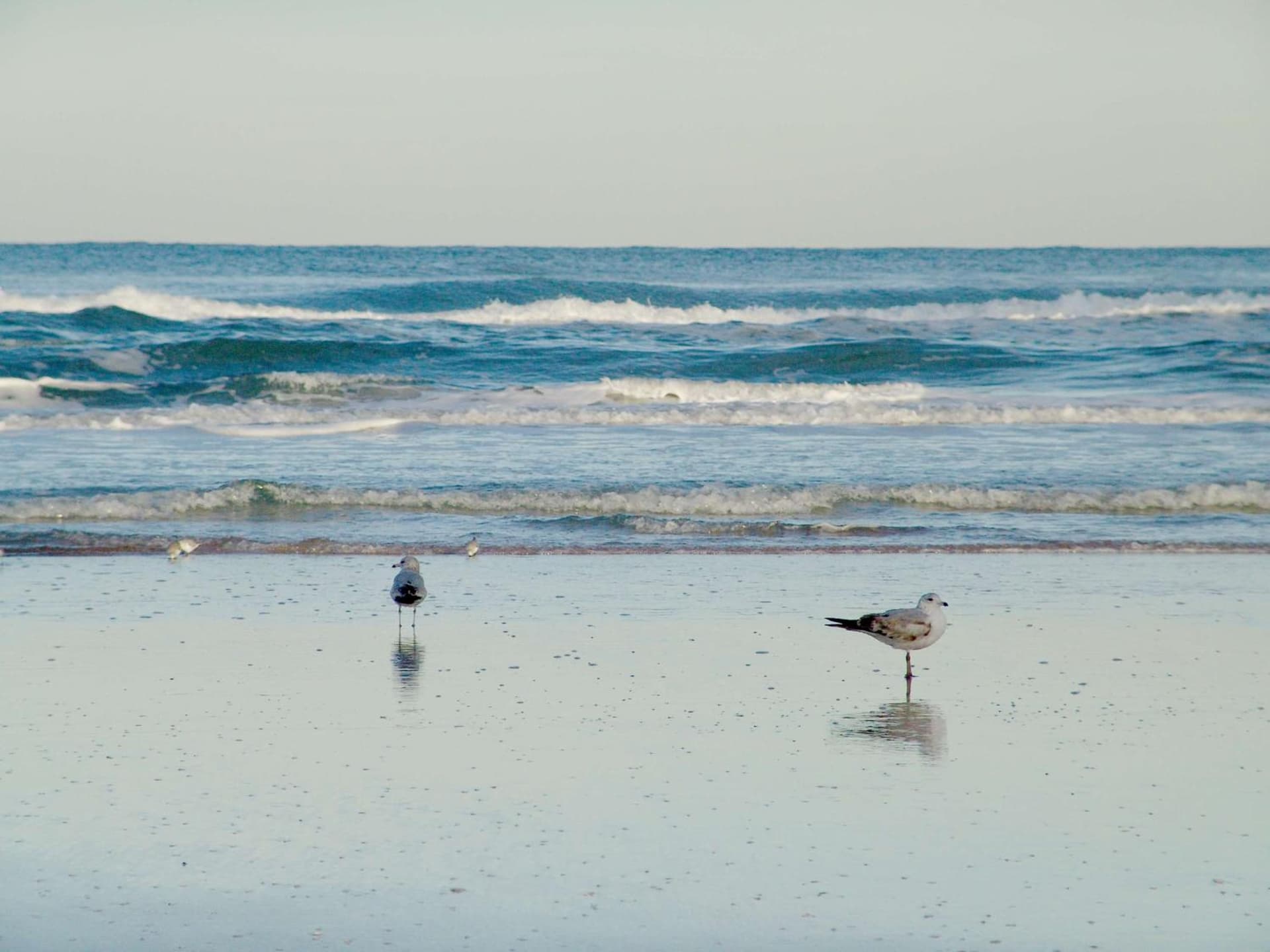 Hampton Inn Daytona Shores-Oceanfront interior in Daytona Beach, FL — gallery photo 2