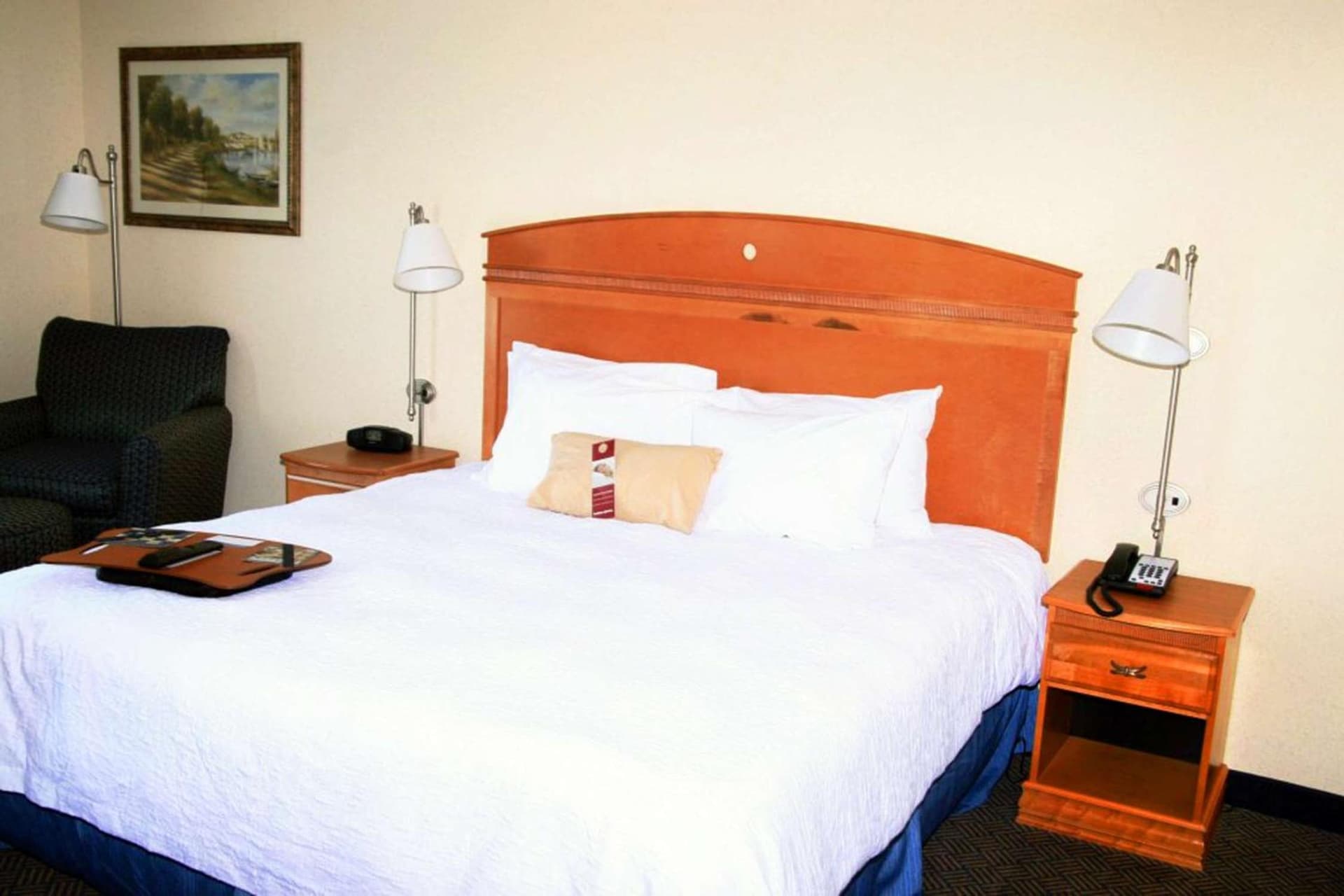 Hampton Inn Dallas-Rockwall gallery photo in Rockwall, TX — image 29
