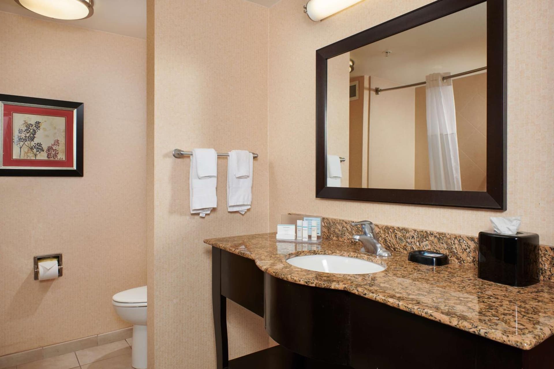 Hampton Inn & Suites Denver/Highlands Ranch gallery photo in Littleton, CO — image 13