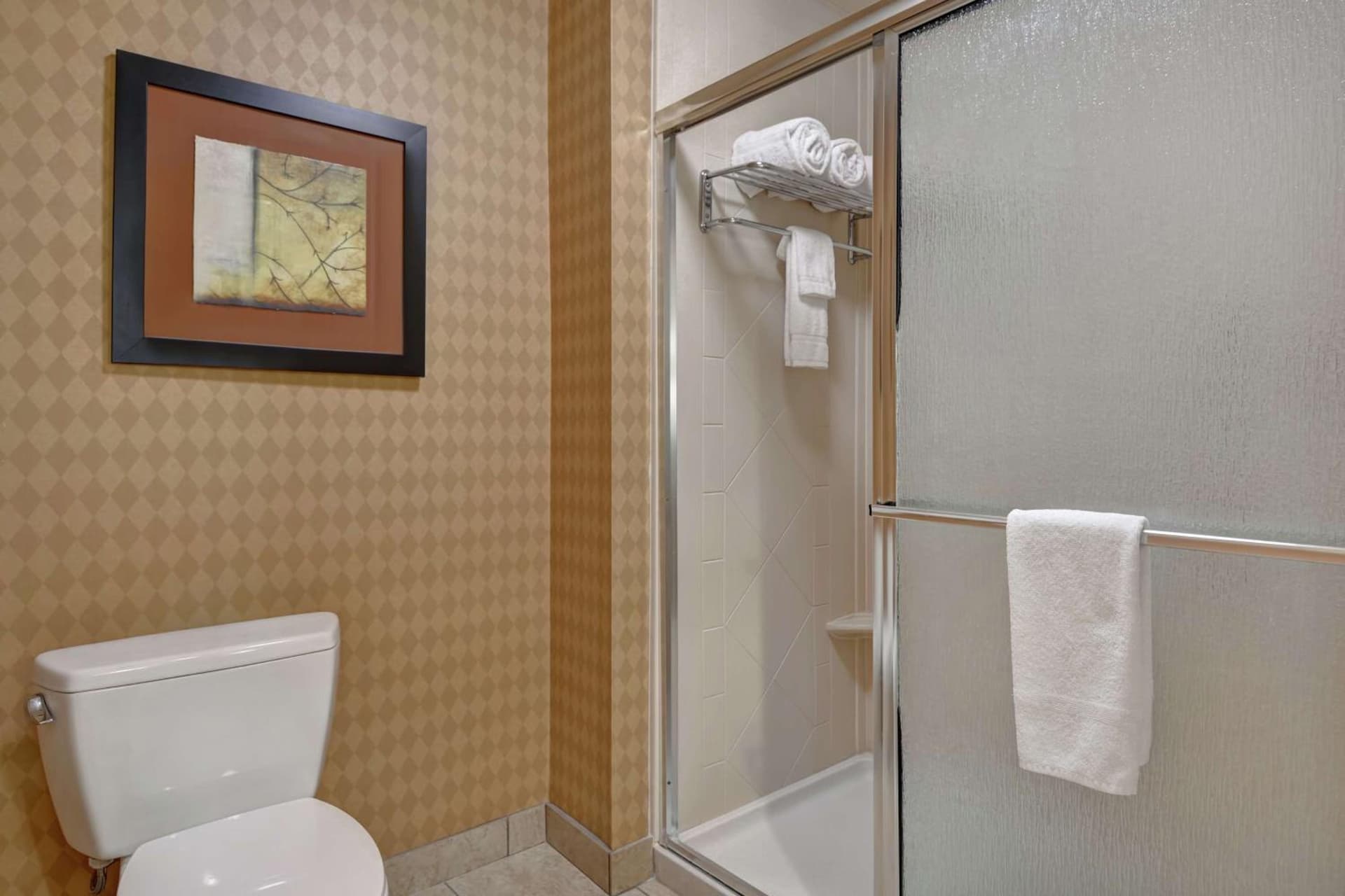 Homewood Suites by Hilton Fayetteville gallery photo in Fayetteville, AR — image 20