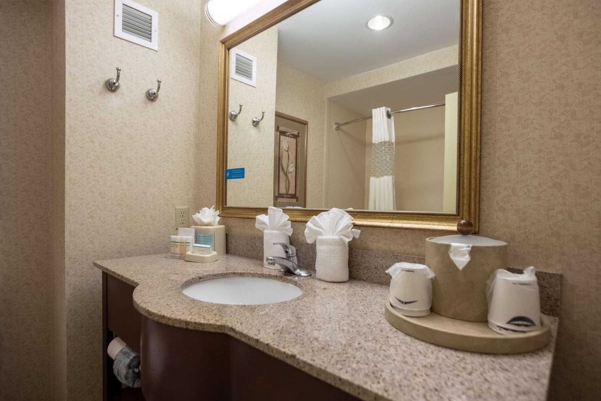 Hampton Inn Hadley-Amherst Area gallery photo in Hadley — image 34