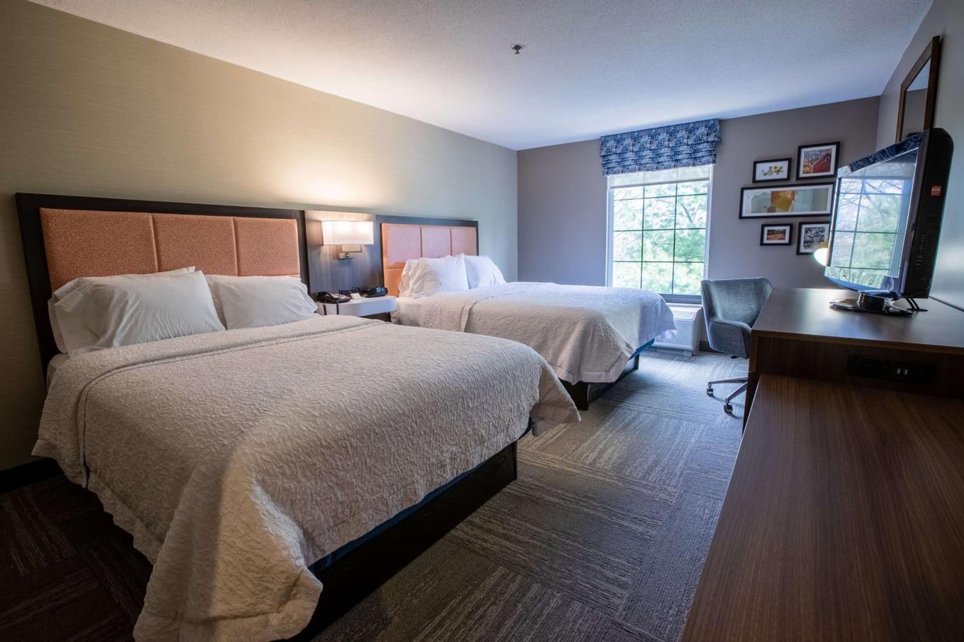 Hampton Inn Hadley-Amherst Area gallery photo in Hadley — image 31