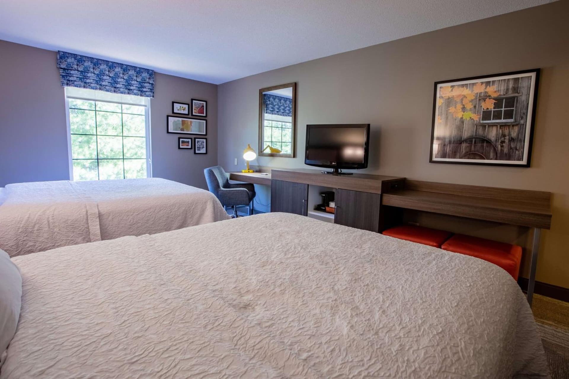 Hampton Inn Hadley-Amherst Area gallery photo in Hadley — image 16