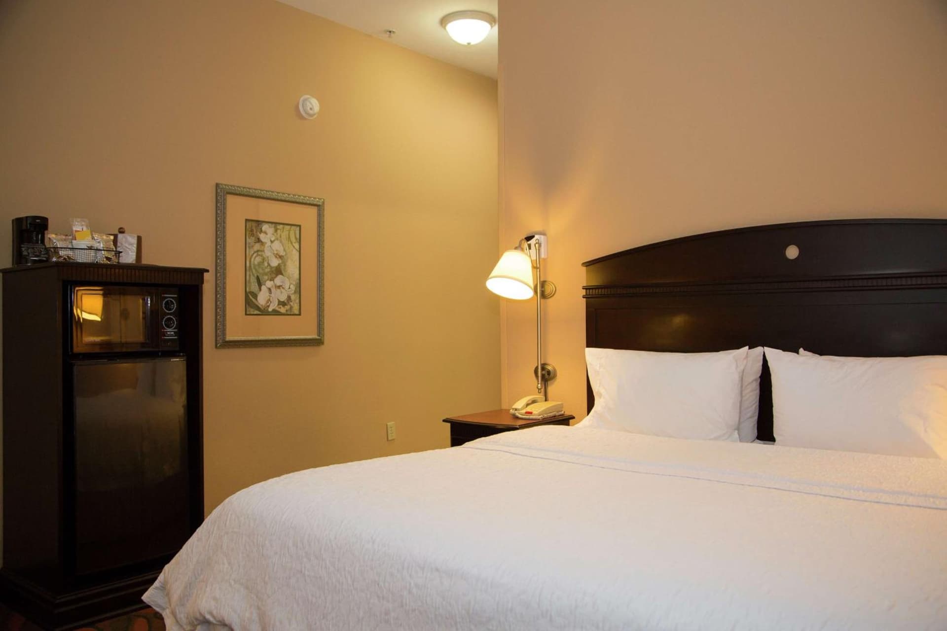 Hampton Inn & Suites Houston Rosenberg gallery photo in Rosenberg, TX — image 17