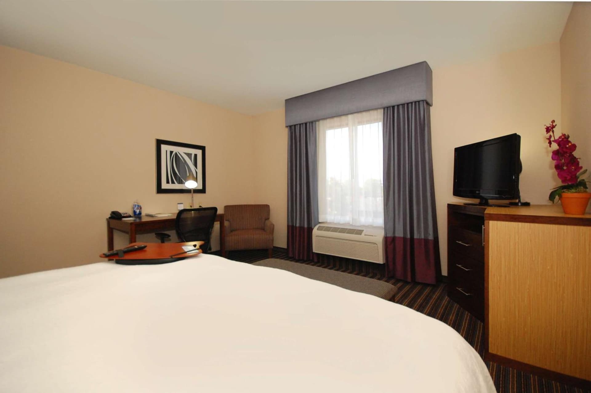 Hampton Inn Jackson/Flowood - Airport Area MS gallery photo in Luckney, MS — image 7