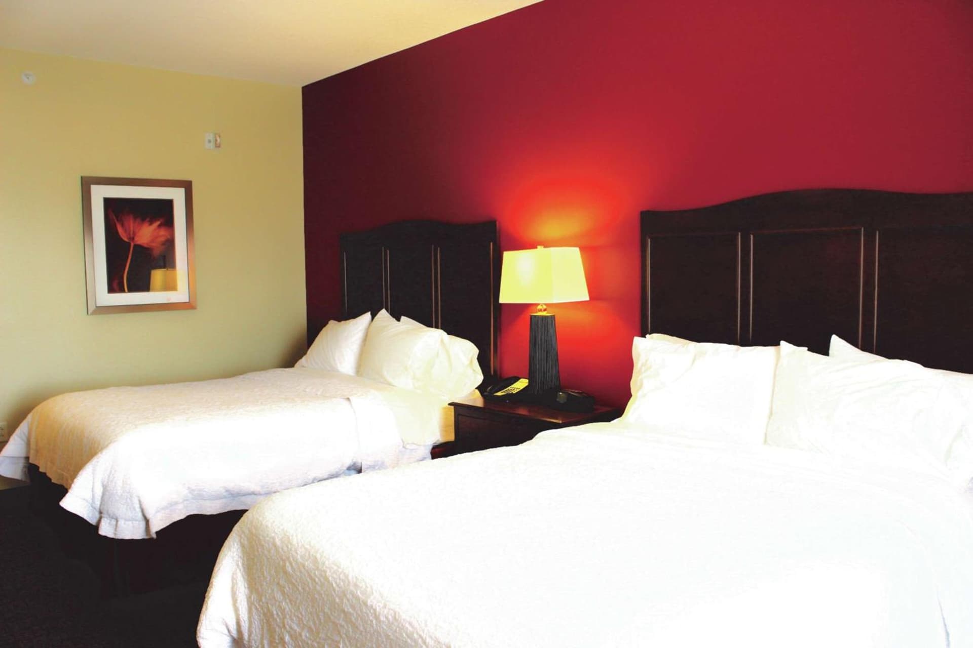 Hampton Inn & Suites McAllen gallery photo in McAllen, TX — image 10