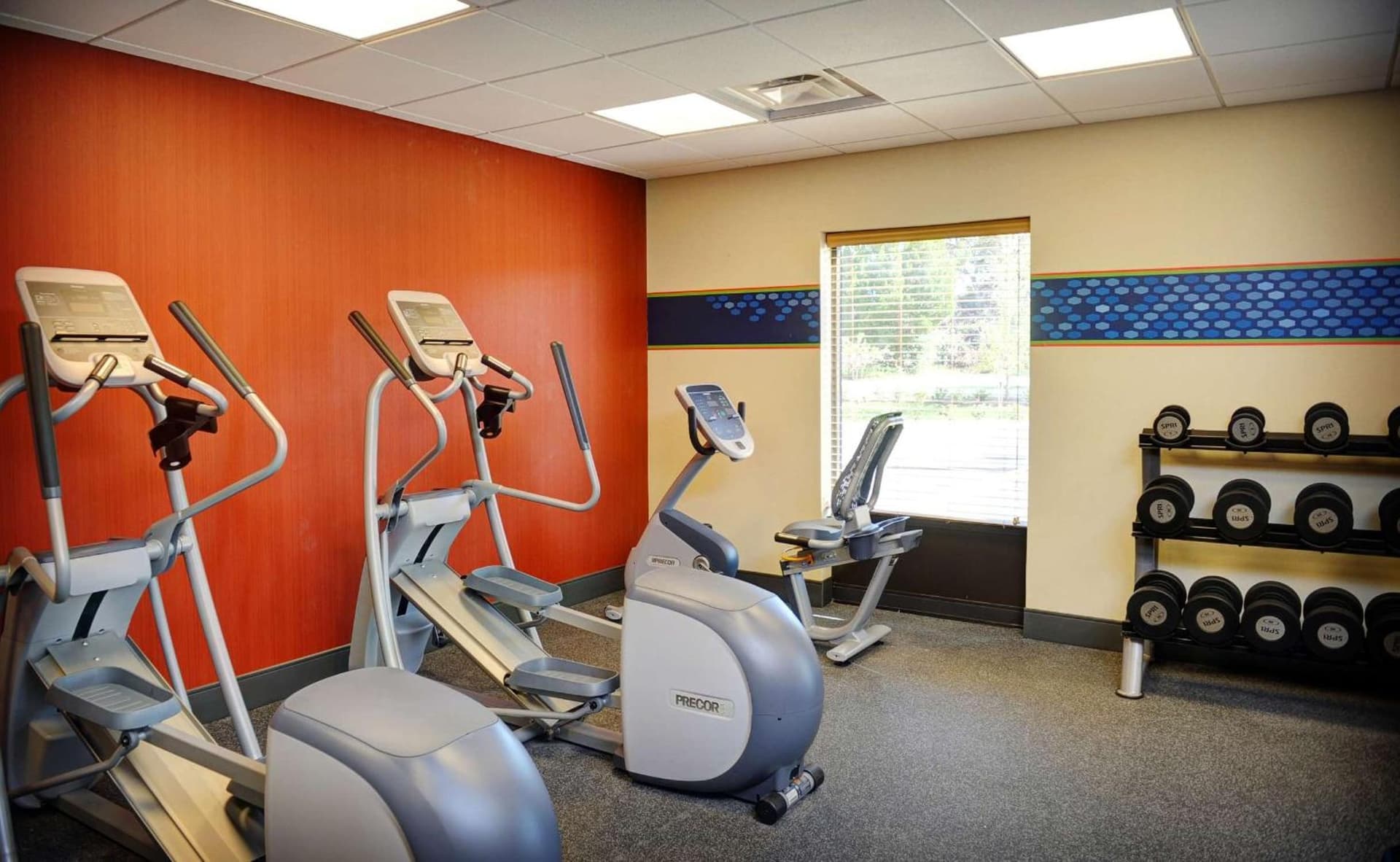 Hampton Inn Crystal River gallery photo in Crystal River, FL — image 13