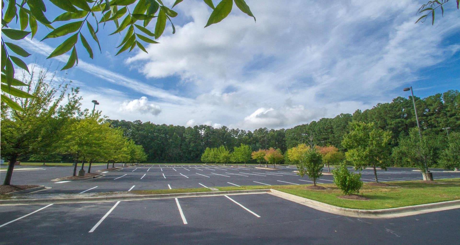Hampton Inn Greenville gallery photo in Greenville, NC — image 14