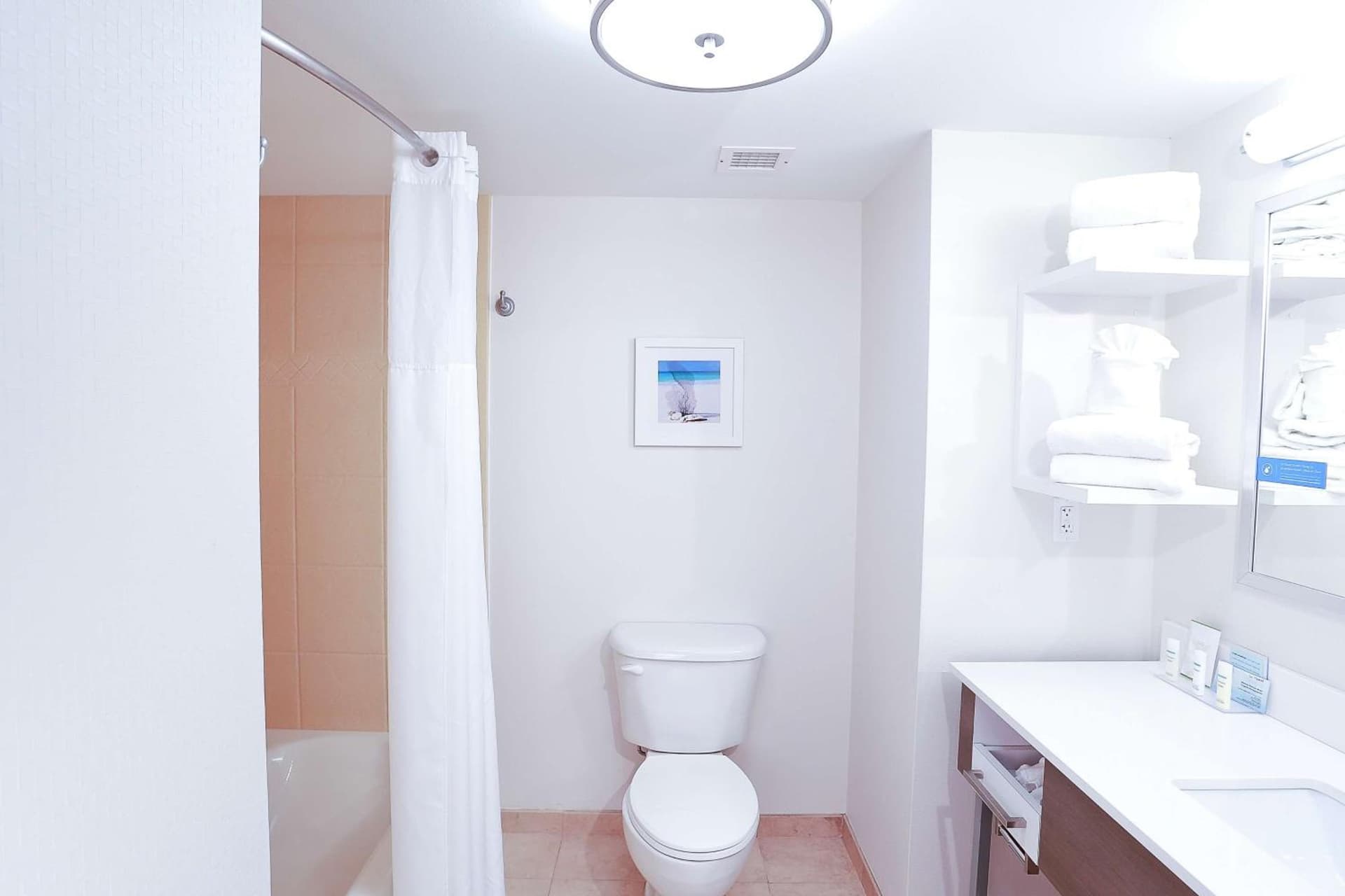Hampton Inn & Suites Tampa-Wesley Chapel gallery photo in Wesley Chapel, FL — image 13