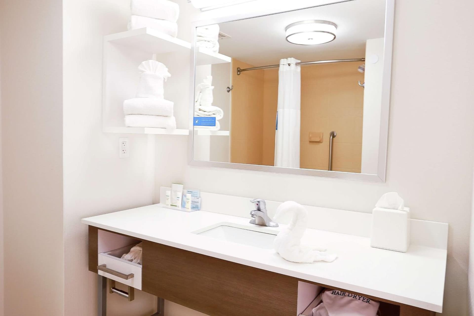 Hampton Inn & Suites Tampa-Wesley Chapel gallery photo in Wesley Chapel, FL — image 8
