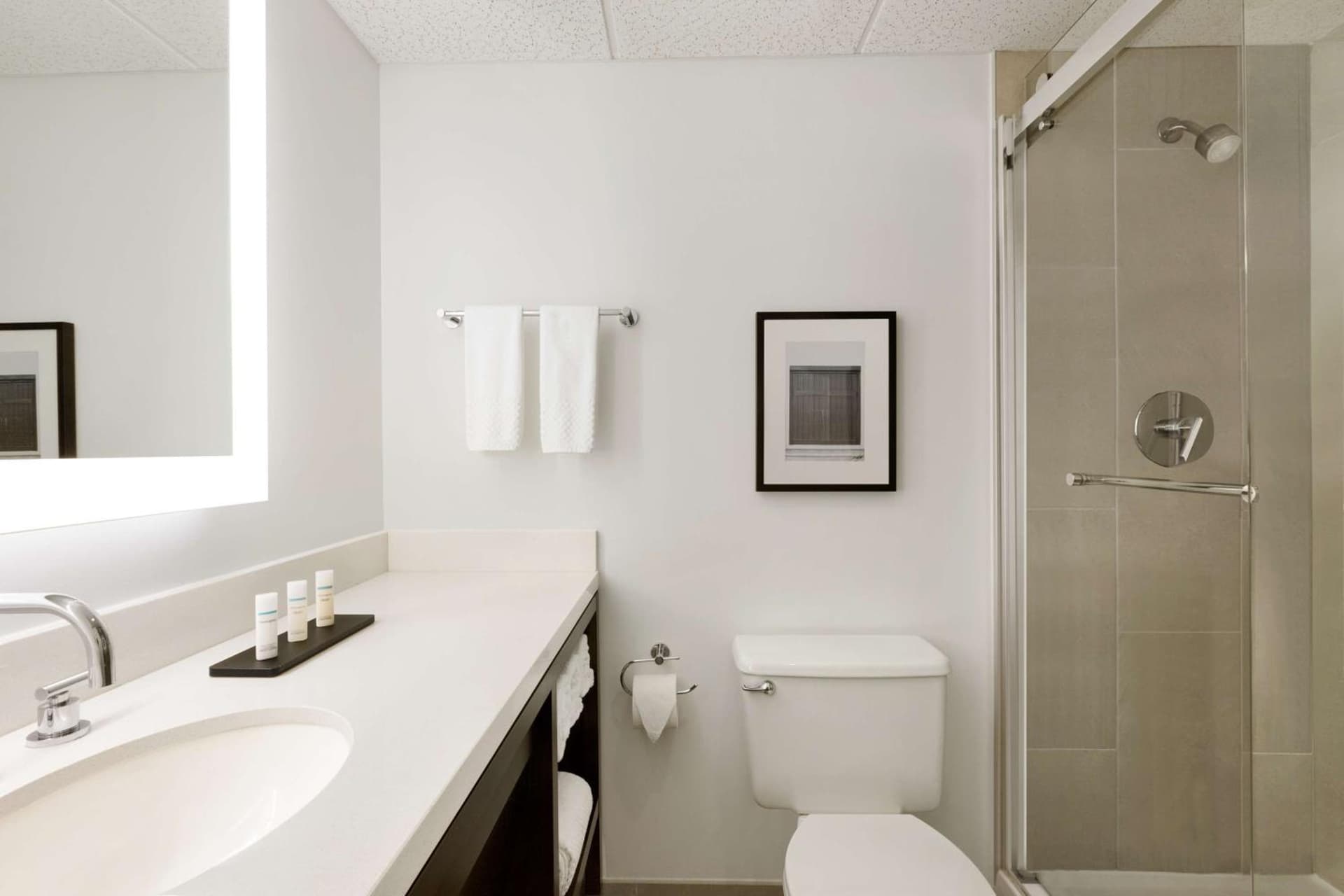 Embassy Suites Boca Raton gallery photo in Boca Raton, FL — image 18